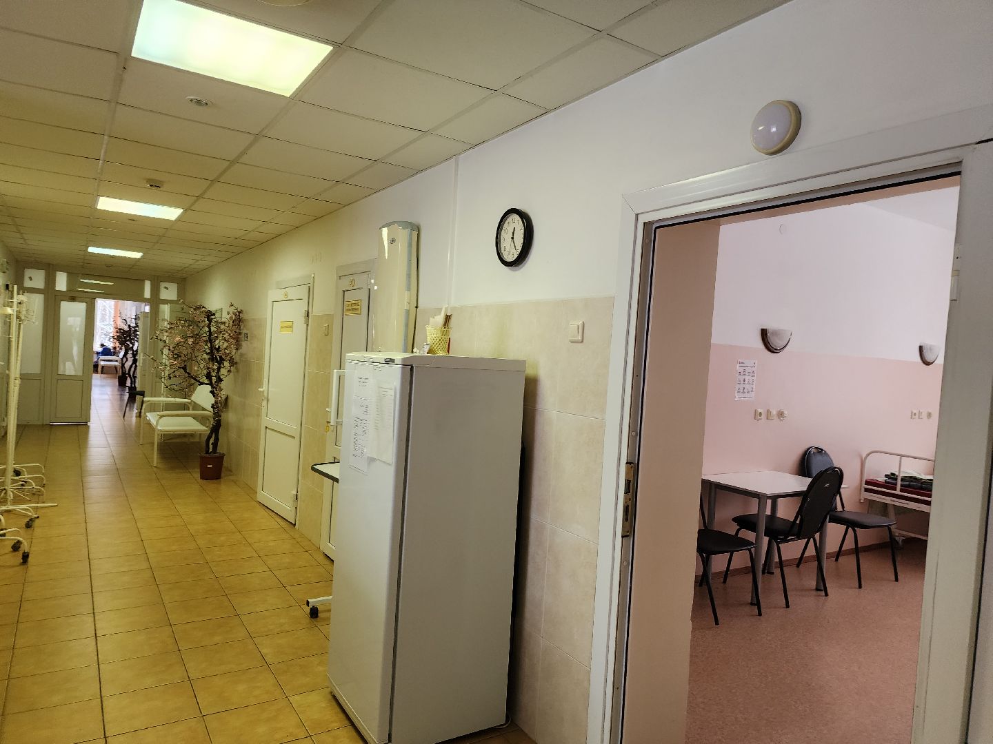 пожилые люди, профилактика заболеваний, здоровое сердце, вертикалка,