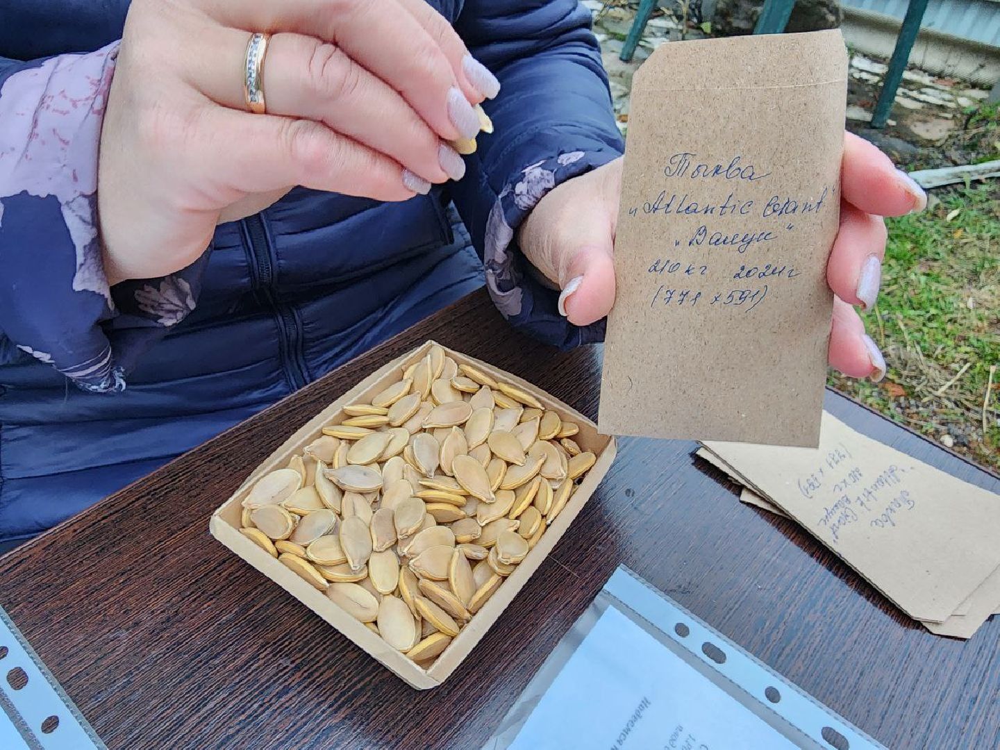 можайск, можайский городской округ, подмосковье, тыква-гигант, спецоперация, помощь сво, благотворительность, акция, доброе дело, урожай гигантских овощей, помощь курской и белгородской областям,