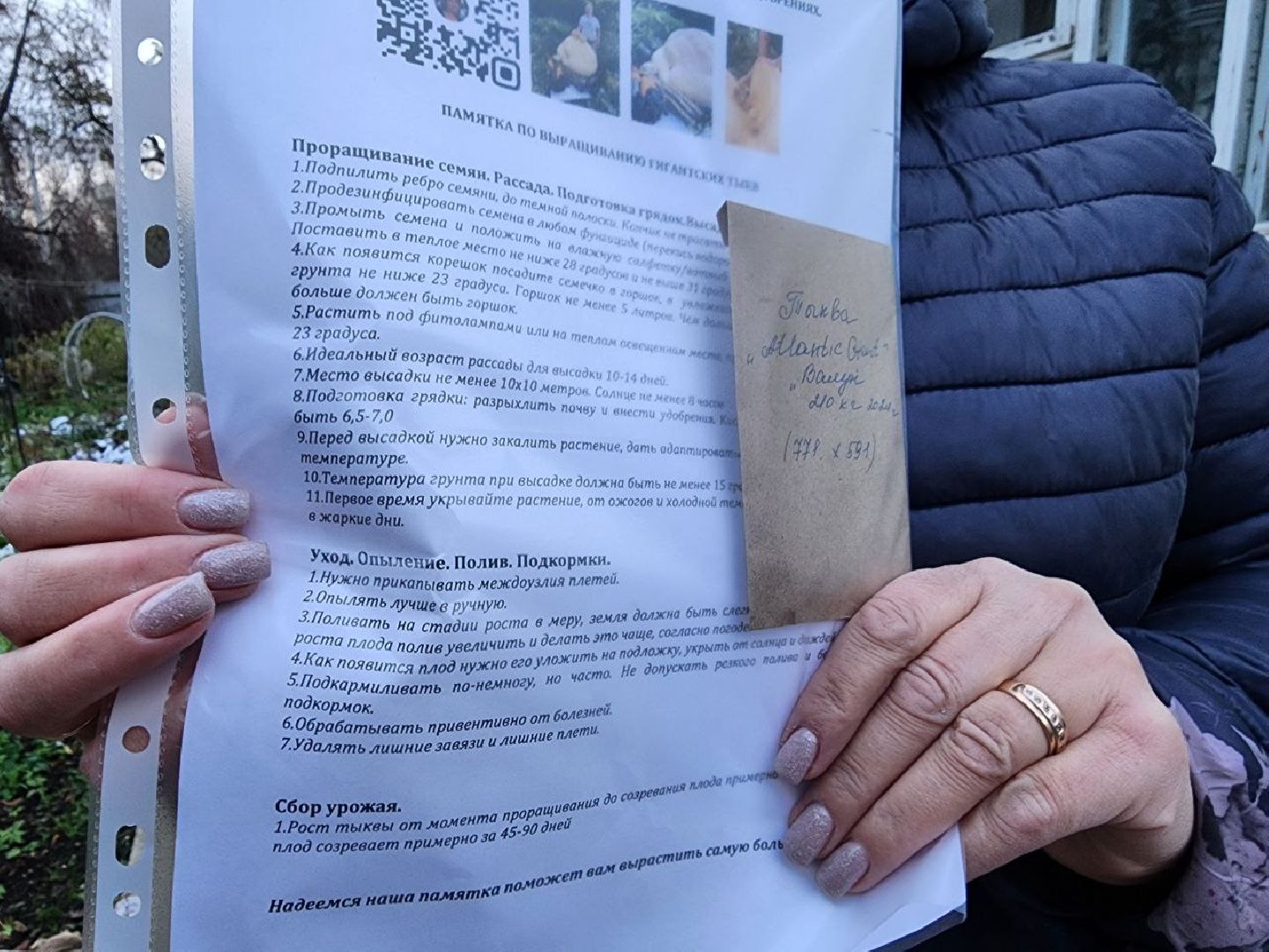 можайск, можайский городской округ, подмосковье, тыква-гигант, спецоперация, помощь сво, благотворительность, акция, доброе дело, урожай гигантских овощей, помощь курской и белгородской областям,