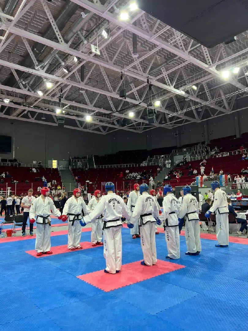 Балашиха, Подмосковье, спорт, тхэквондо, турниры, чемпионаты, спортивные клубы