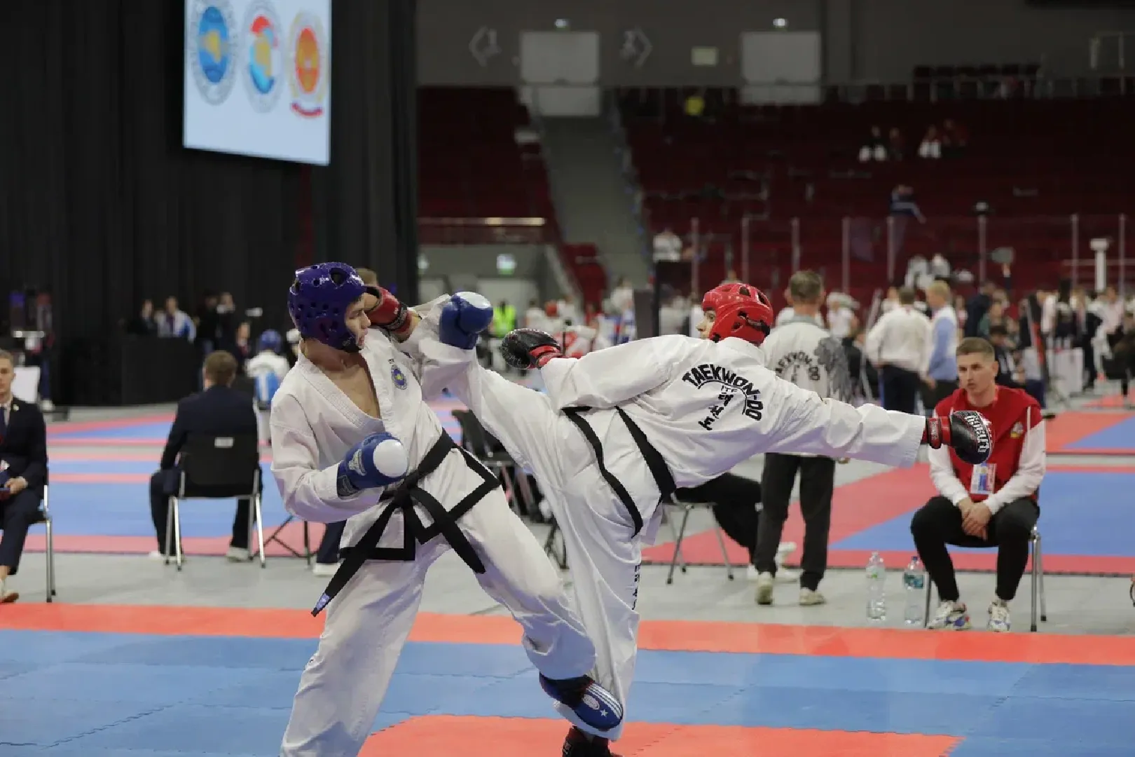 Балашиха, Подмосковье, спорт, тхэквондо, турниры, чемпионаты, спортивные клубы