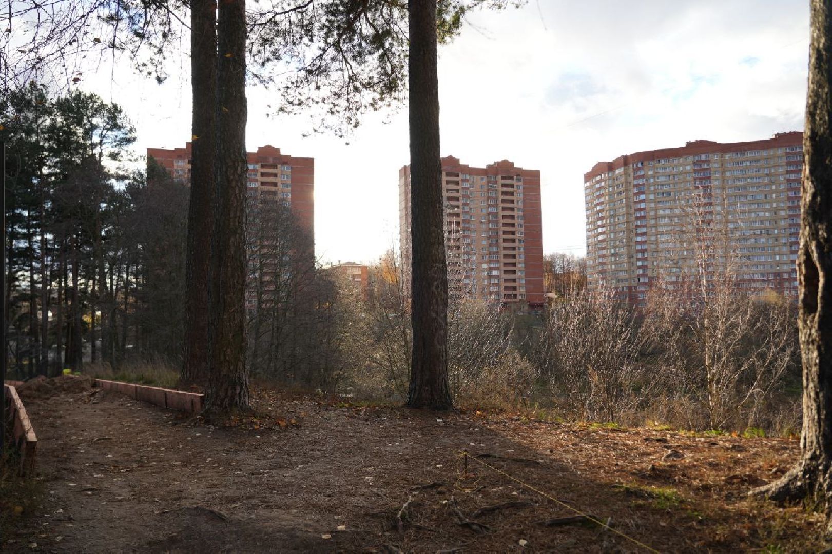 Благоустройство, Народная тропа, Сергиев Посад, Сергиево-Посадский городской округ, Экотропа, Экология, Природа, вертикалки,