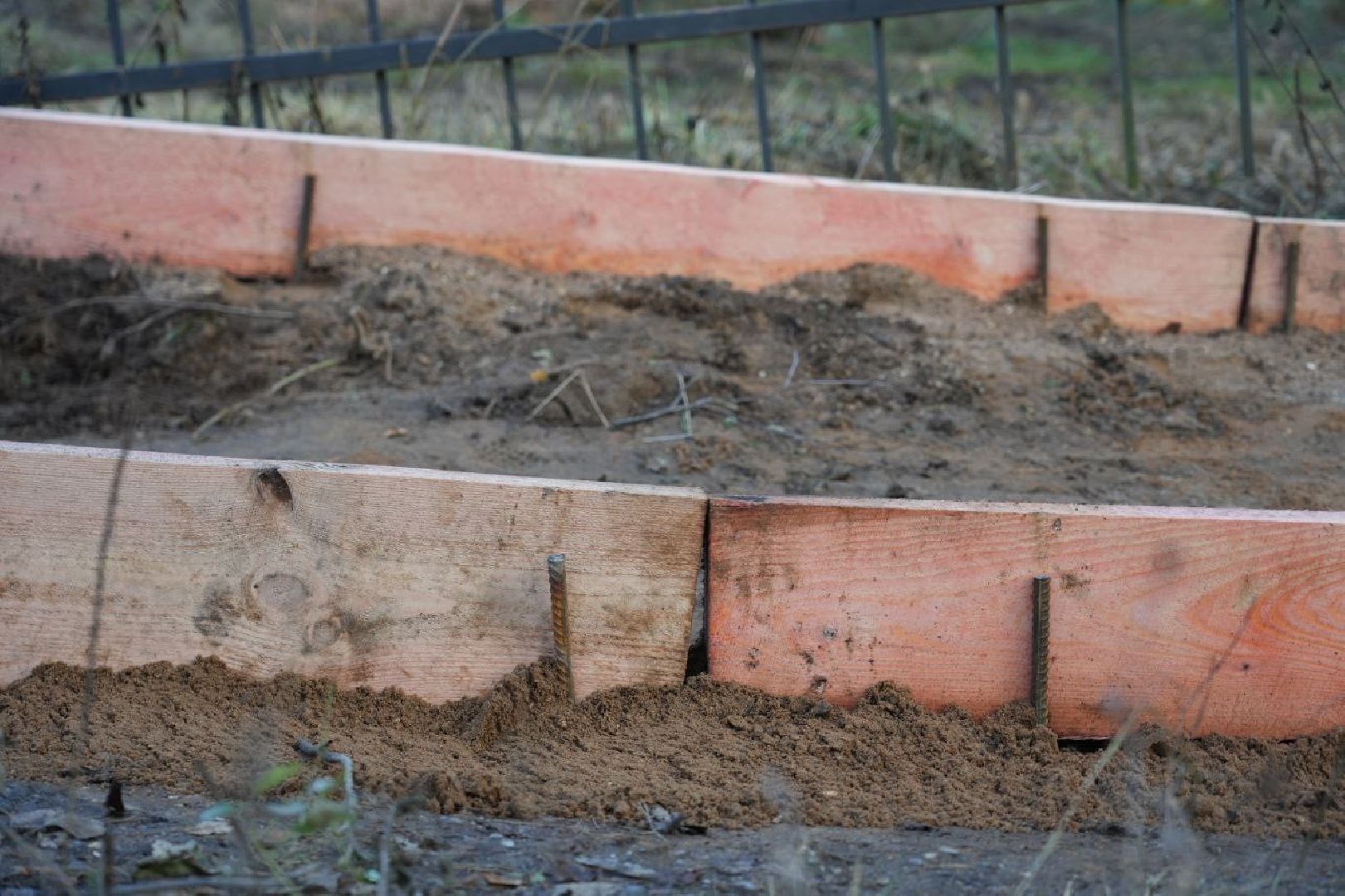 Благоустройство, Народная тропа, Сергиев Посад, Сергиево-Посадский городской округ, Экотропа, Экология, Природа, вертикалки,