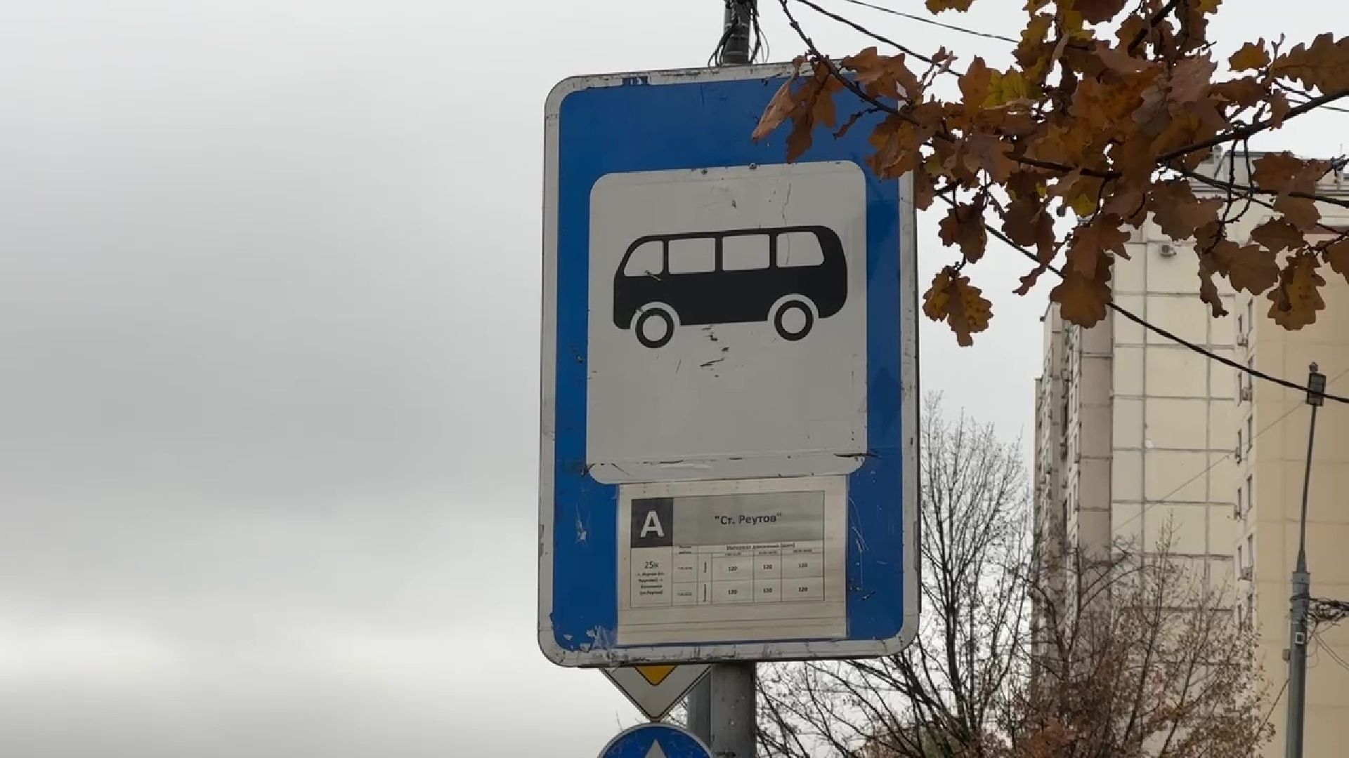 Реутов, транспорт, автобусы, маршрутки, оплата проезда, увеличение автопарка, ремонт автобусов,