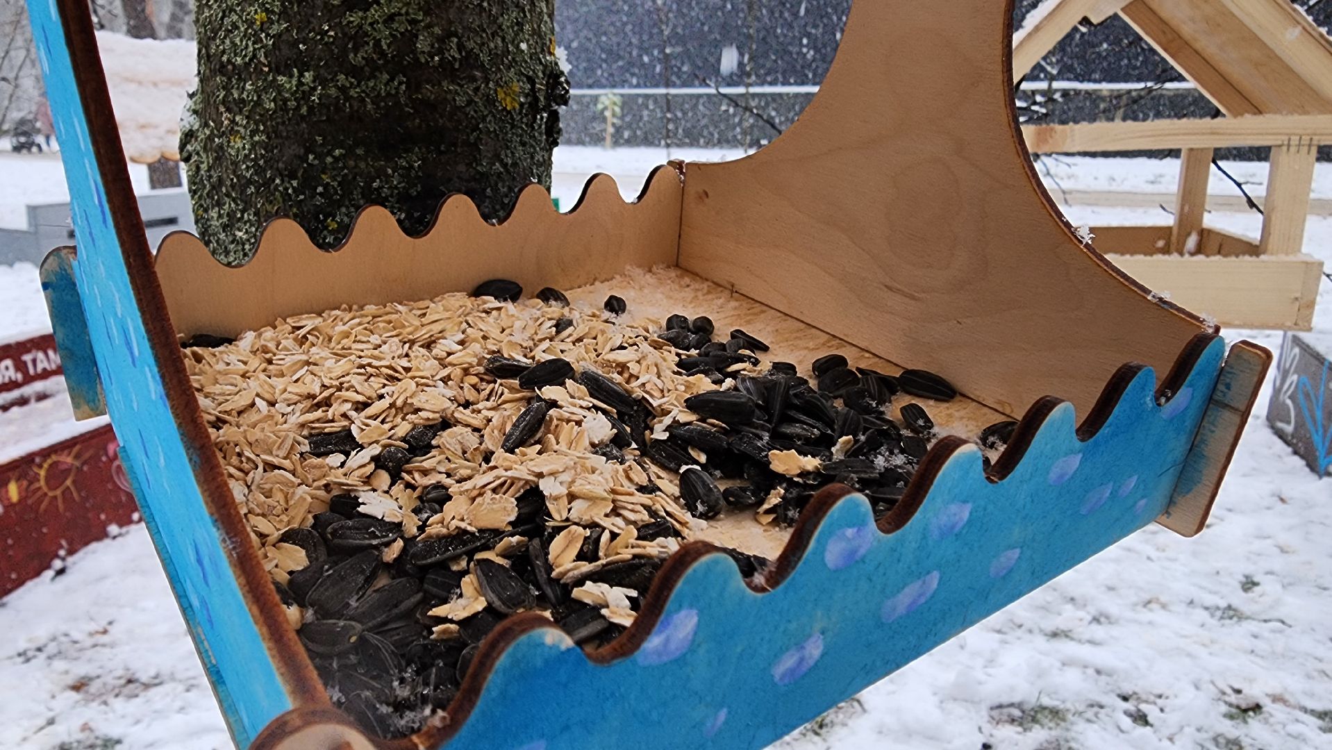 Солнечногорск, вертикалки, городской парк, акция кормишка, накорми птиц зимой,