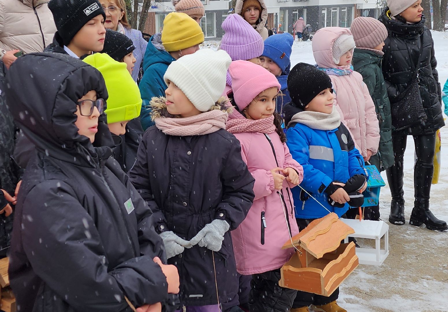 Солнечногорск, вертикалки, городской парк, акция кормишка, накорми птиц зимой,