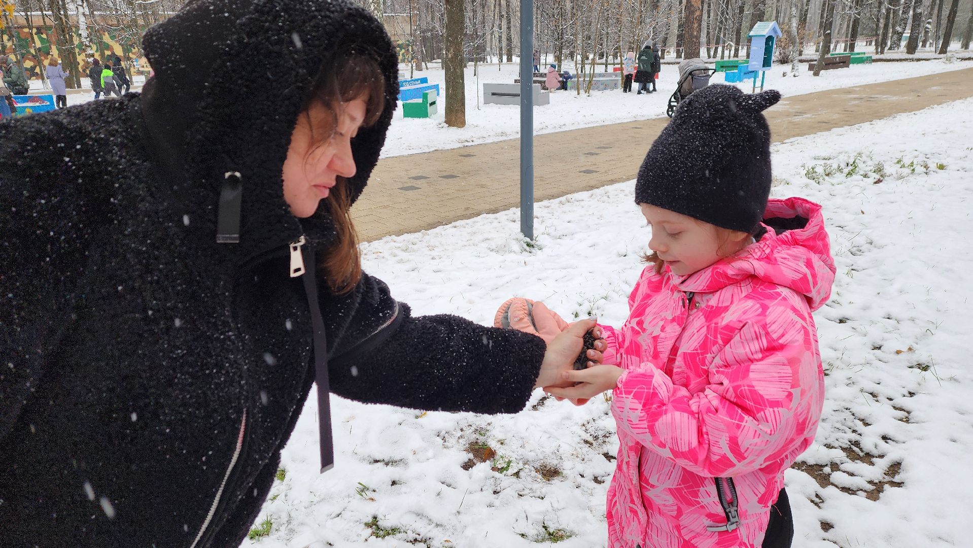 Солнечногорск, вертикалки, городской парк, акция кормишка, накорми птиц зимой,