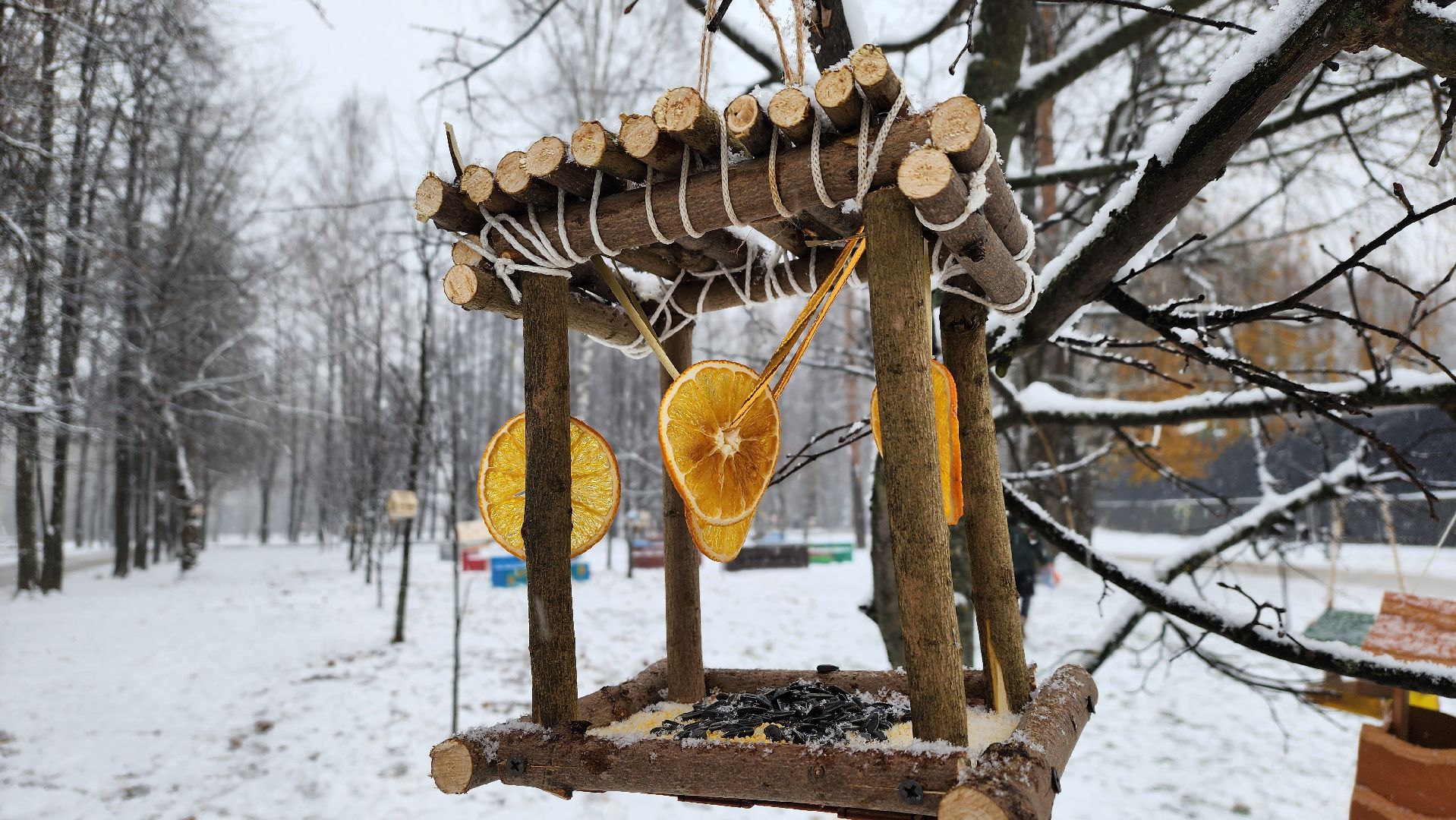 Солнечногорск, вертикалки, городской парк, акция кормишка, накорми птиц зимой,