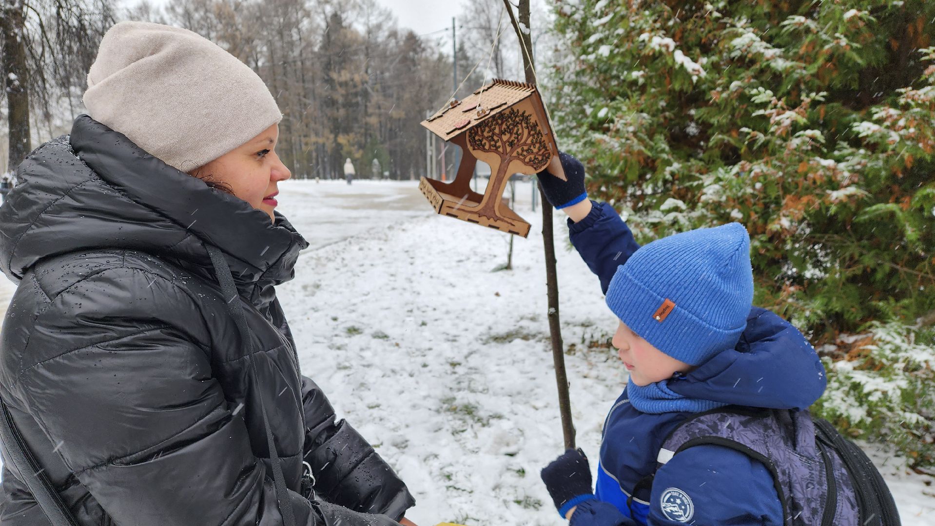 Солнечногорск, вертикалки, городской парк, акция кормишка, накорми птиц зимой,