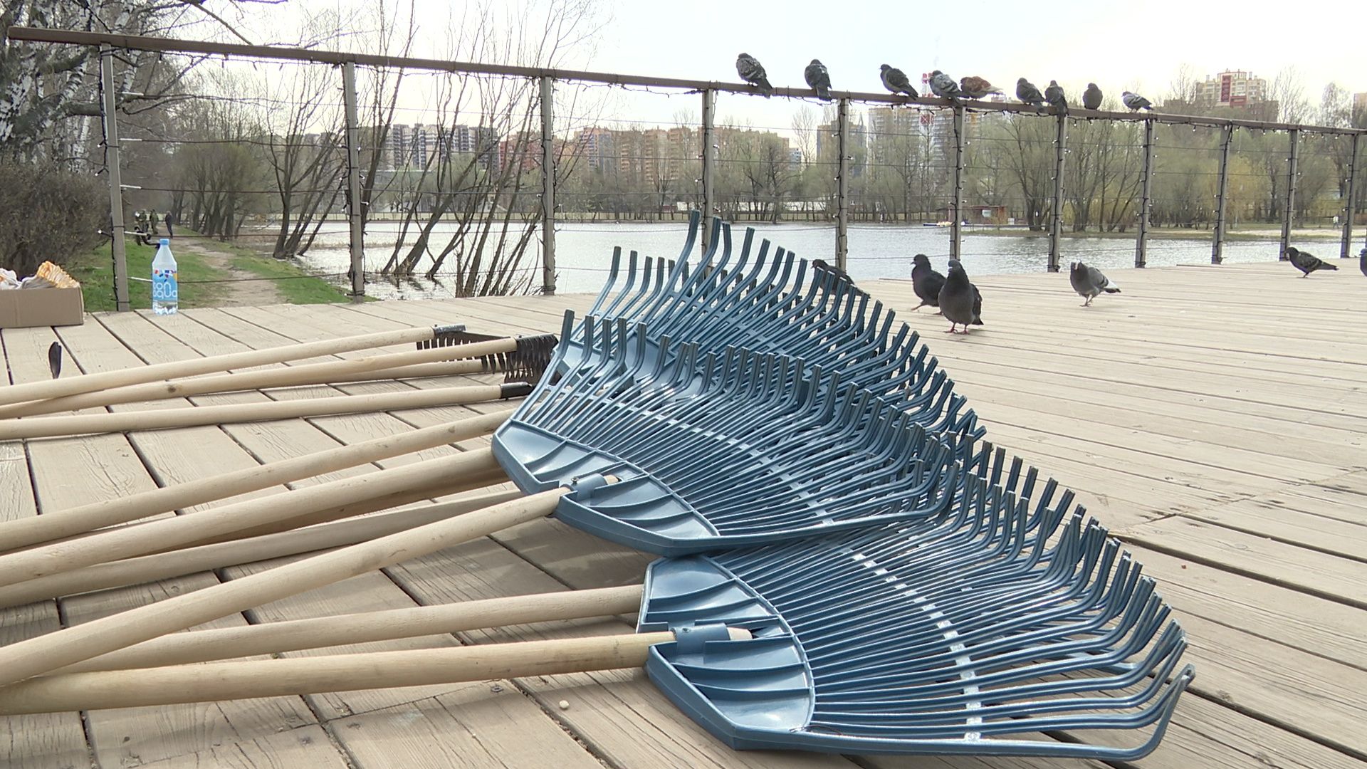 Реутов, месяц чистоты, благоустройство, субботник, мусор, грязь