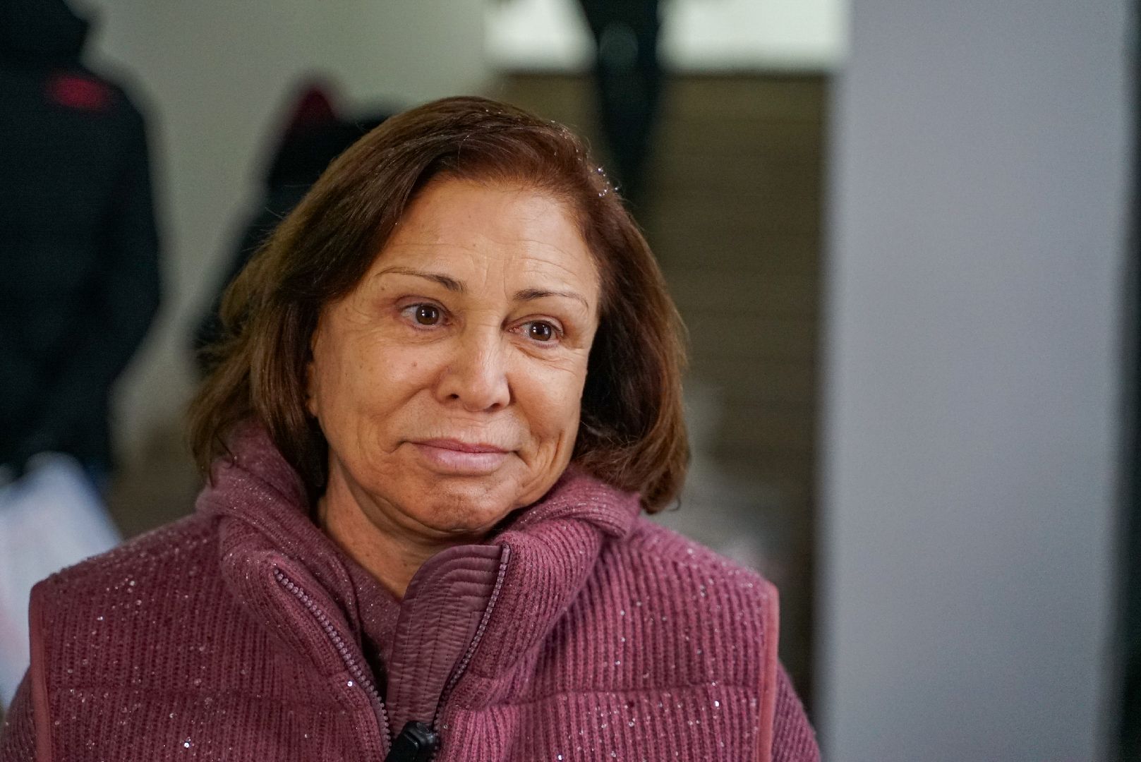 капремонт, депутат, дом детского творчества, вертикалка,