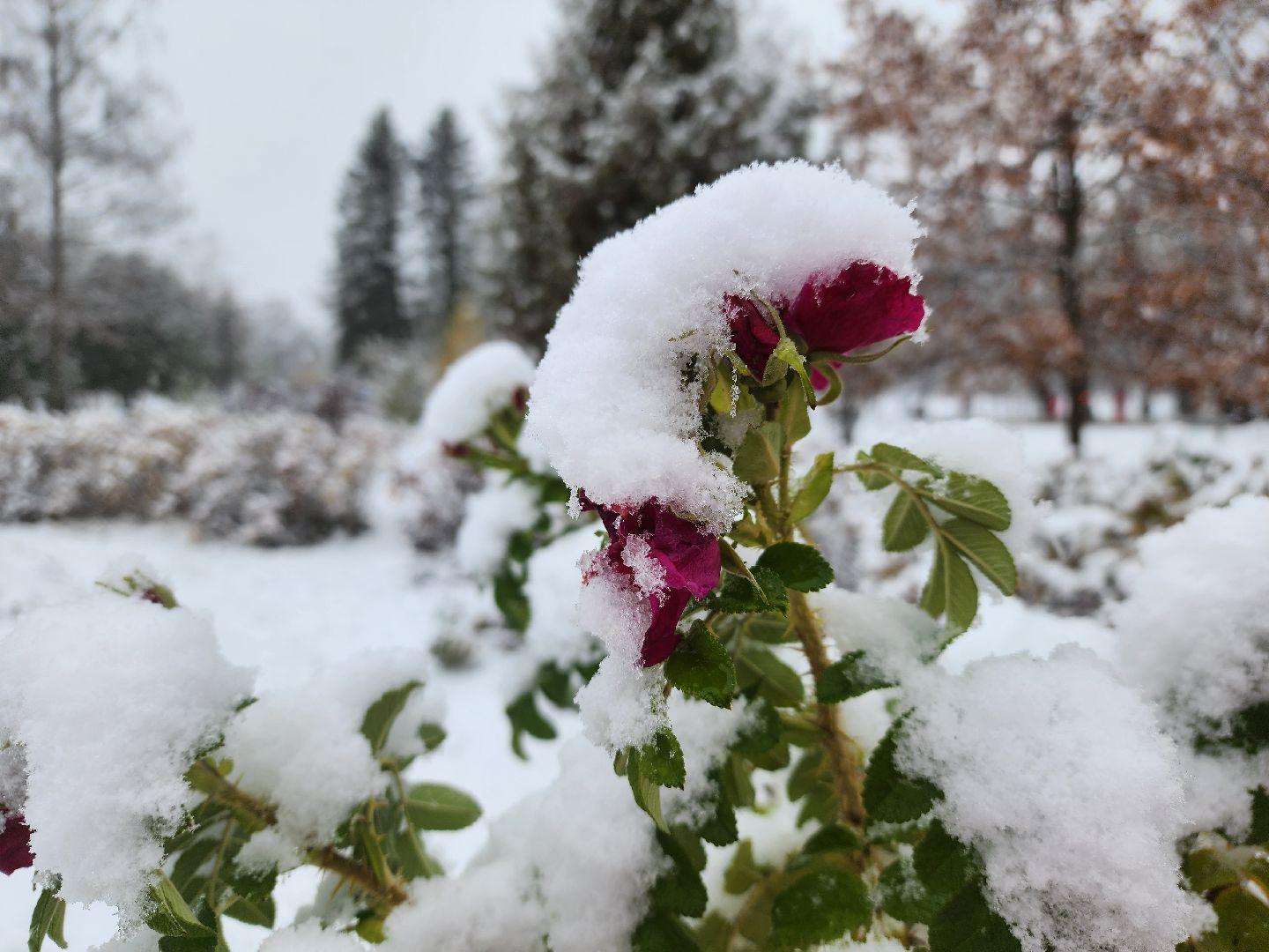 Дубна, Снегопад, Уборка города, жкх, вертикалка,