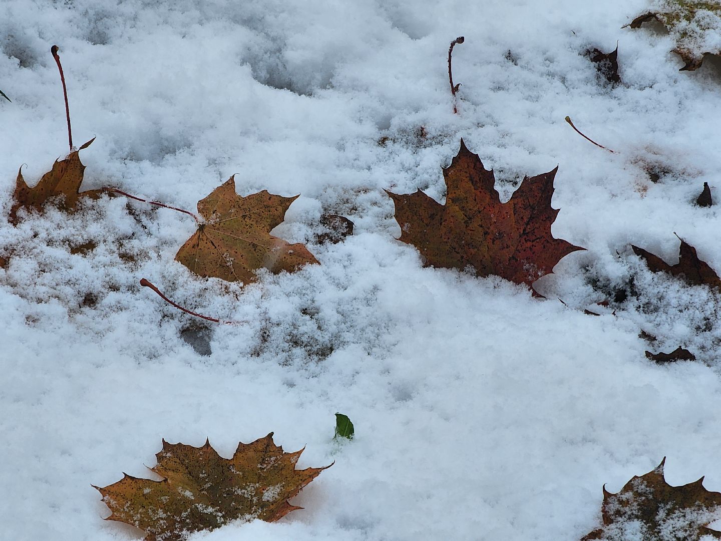 Дубна, Снегопад, Уборка города, жкх, вертикалка,