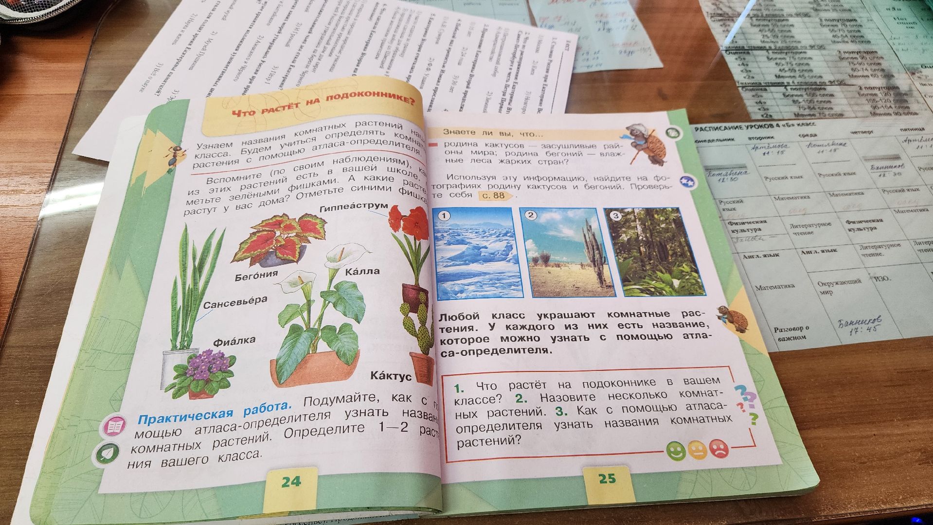 школа, новый учитель, сельская школа, образование, истра,