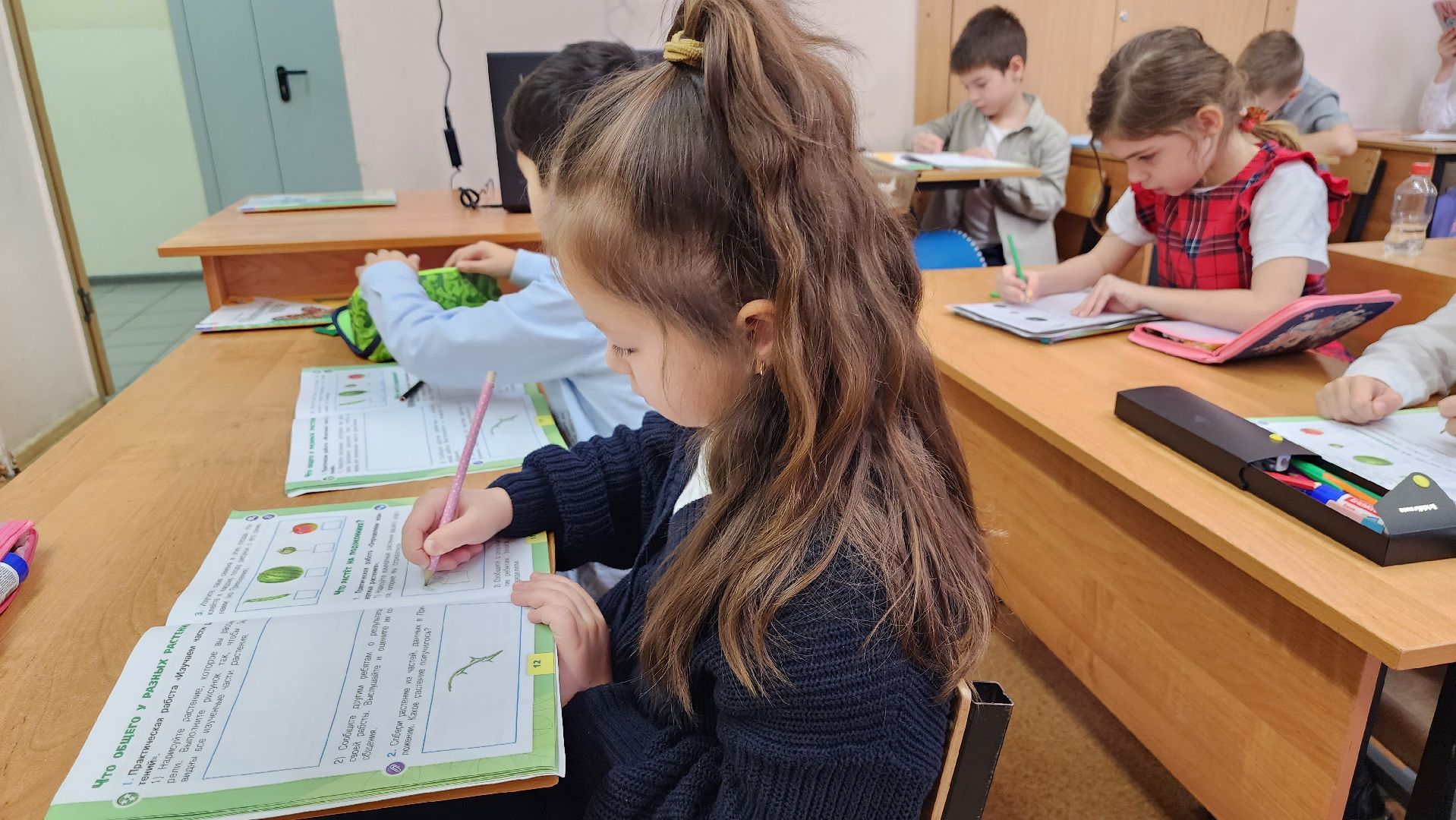 школа, новый учитель, сельская школа, образование, истра,