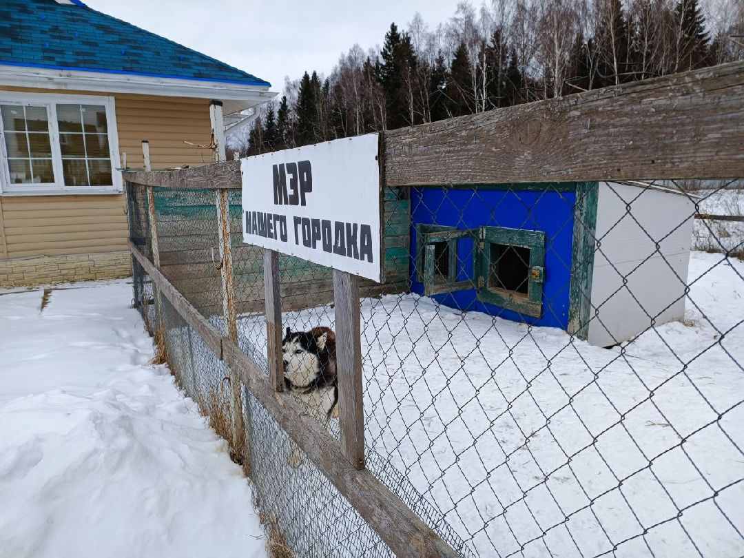 Можайский Округ, Подмосковье, Агротуризм, Экоферма