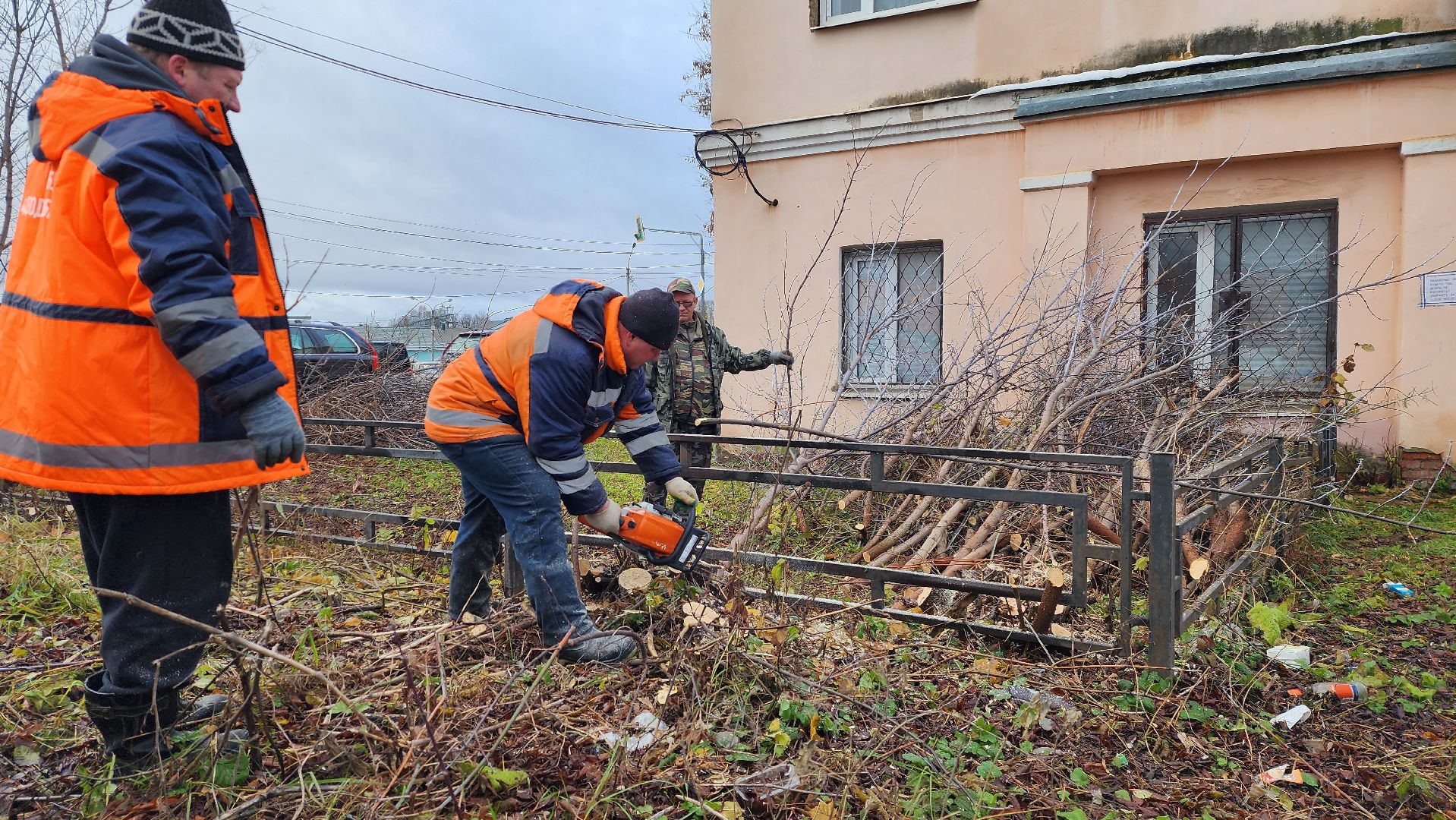 добродел, благоустройство, опиловка, истра, вертикалки,