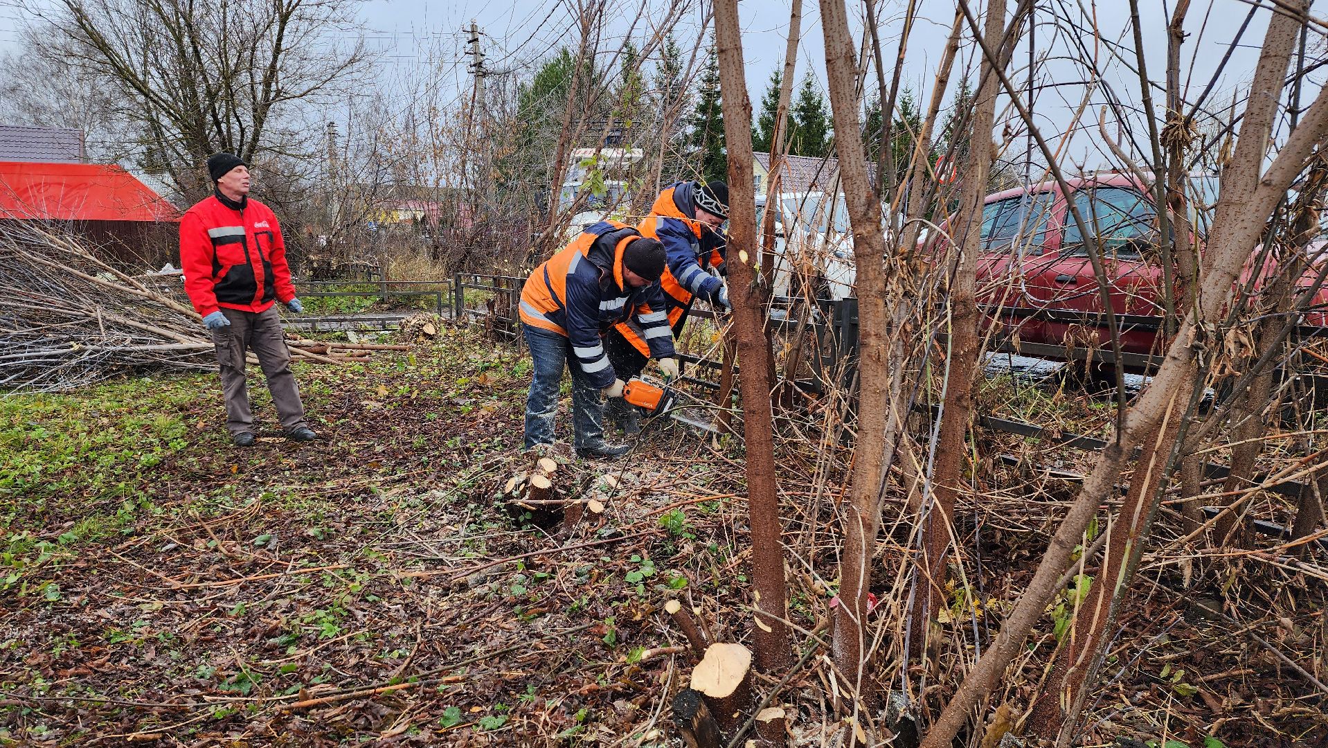добродел, благоустройство, опиловка, истра, вертикалки,