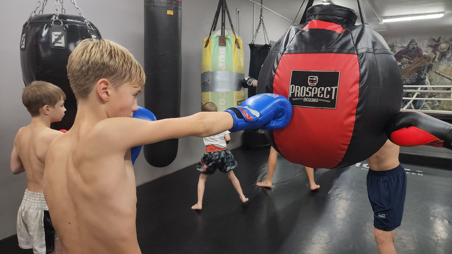 Реутов, вертикалки, спорт, Пересвет, кикбоксинг, соревнования,