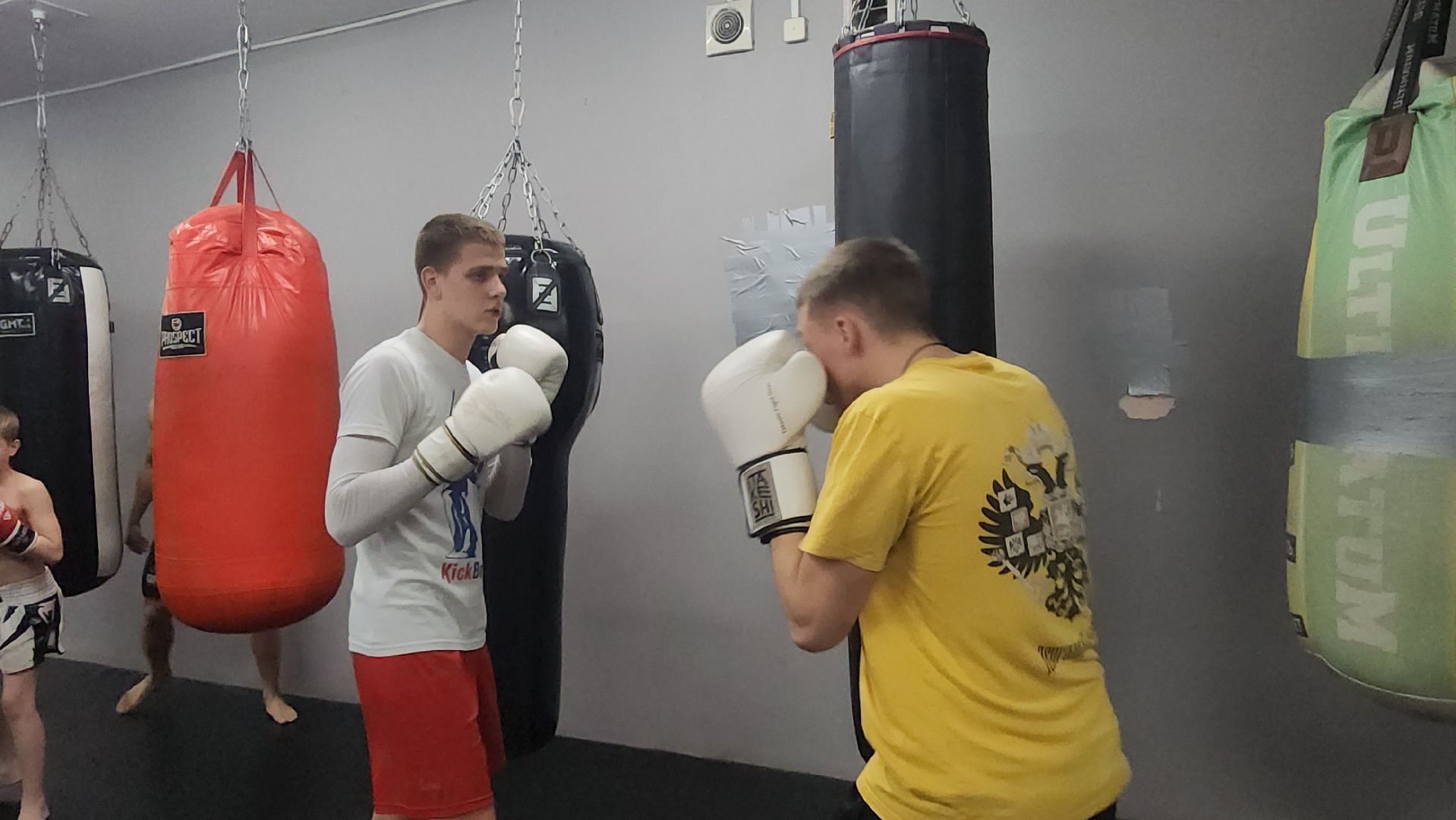 Реутов, вертикалки, спорт, Пересвет, кикбоксинг, соревнования,