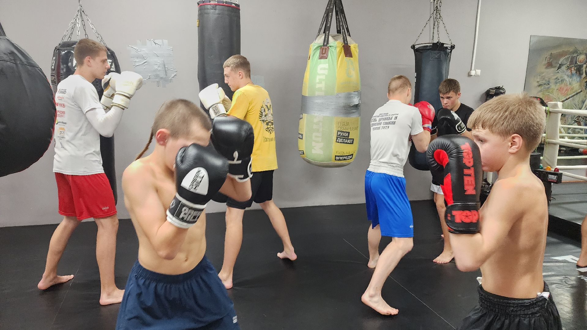 Реутов, вертикалки, спорт, Пересвет, кикбоксинг, соревнования,