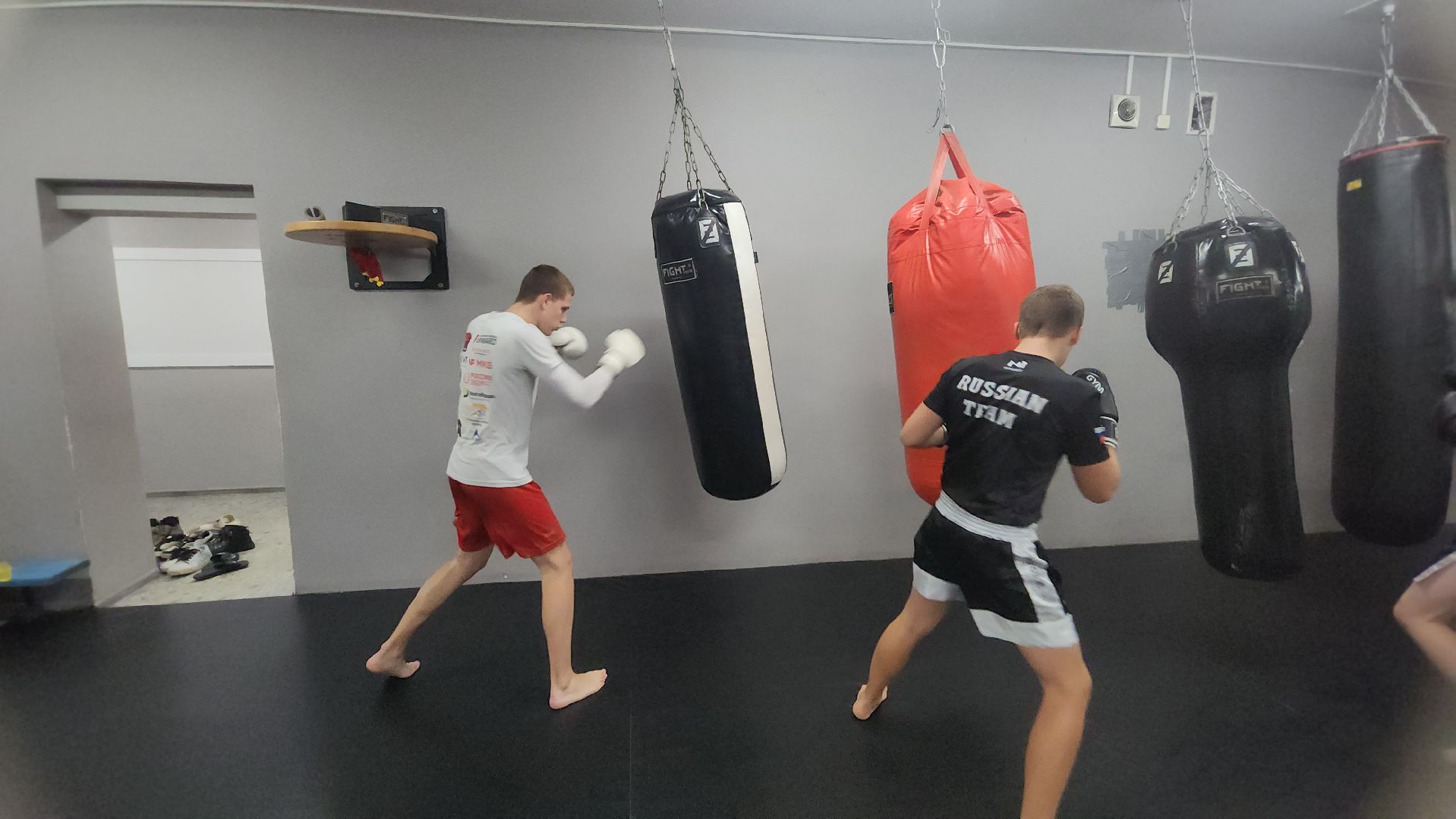 Реутов, вертикалки, спорт, Пересвет, кикбоксинг, соревнования,