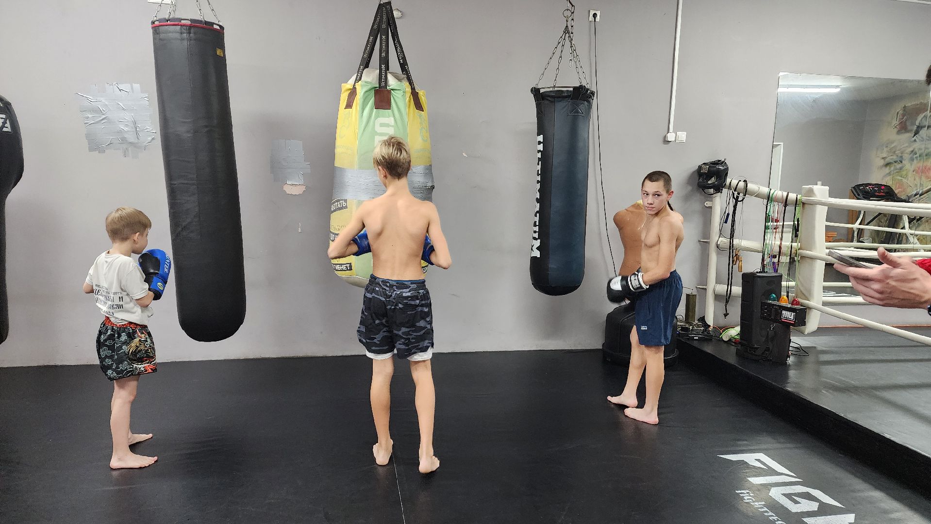 Реутов, вертикалки, спорт, Пересвет, кикбоксинг, соревнования,