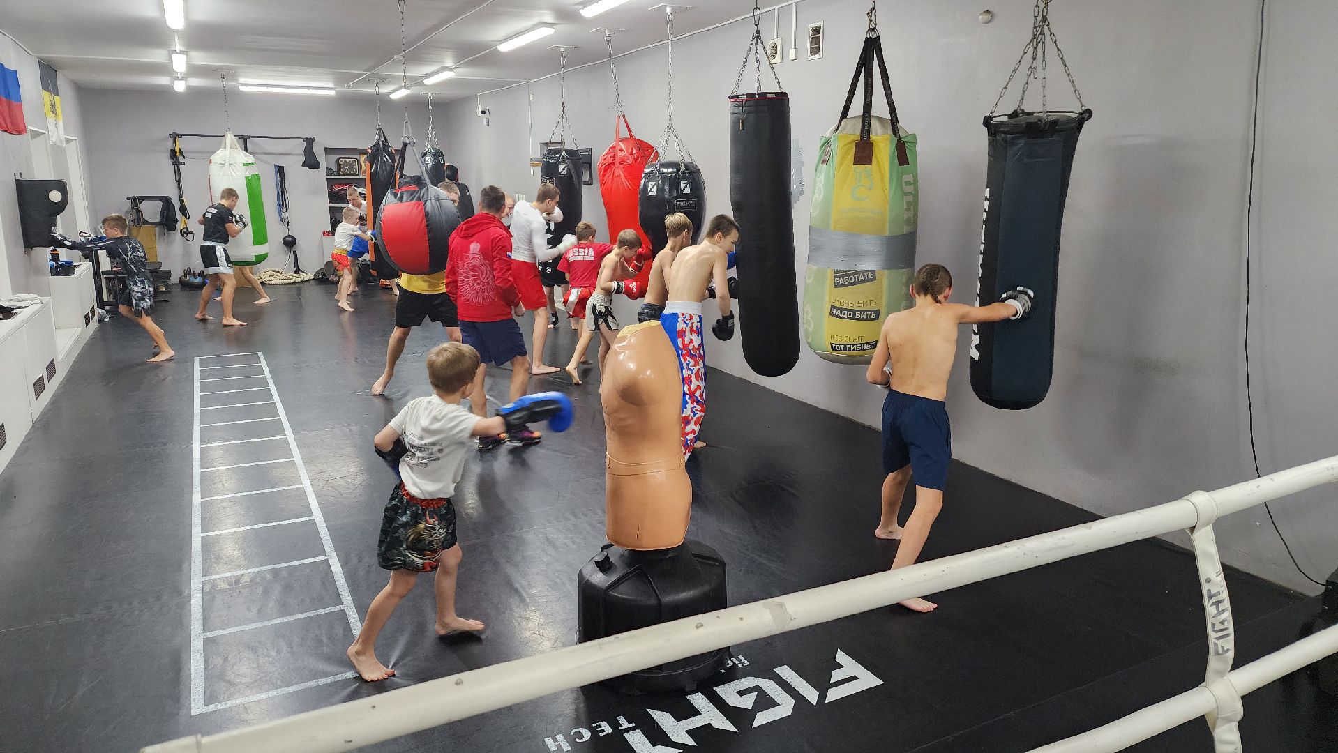 Реутов, вертикалки, спорт, Пересвет, кикбоксинг, соревнования,