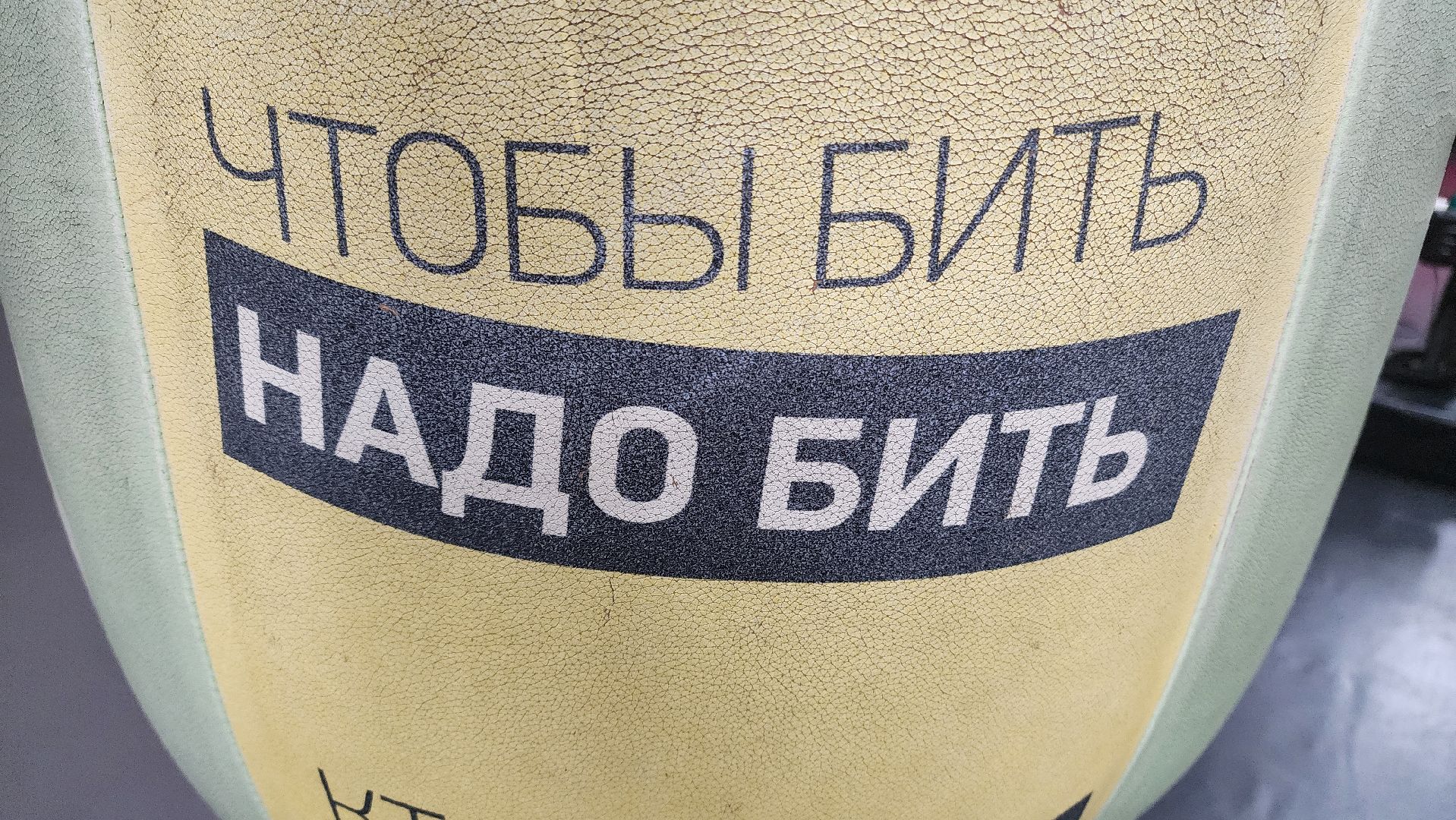 Реутов, вертикалки, спорт, Пересвет, кикбоксинг, соревнования,