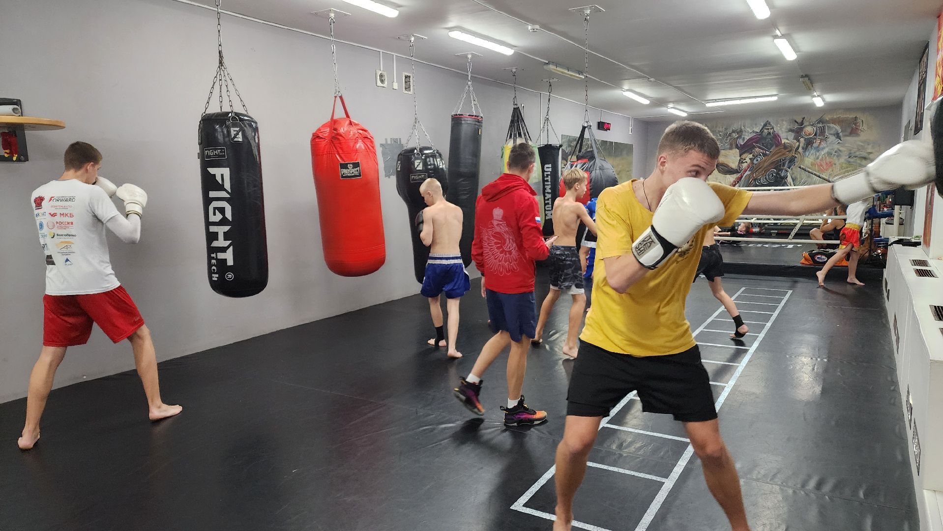 Реутов, вертикалки, спорт, Пересвет, кикбоксинг, соревнования,