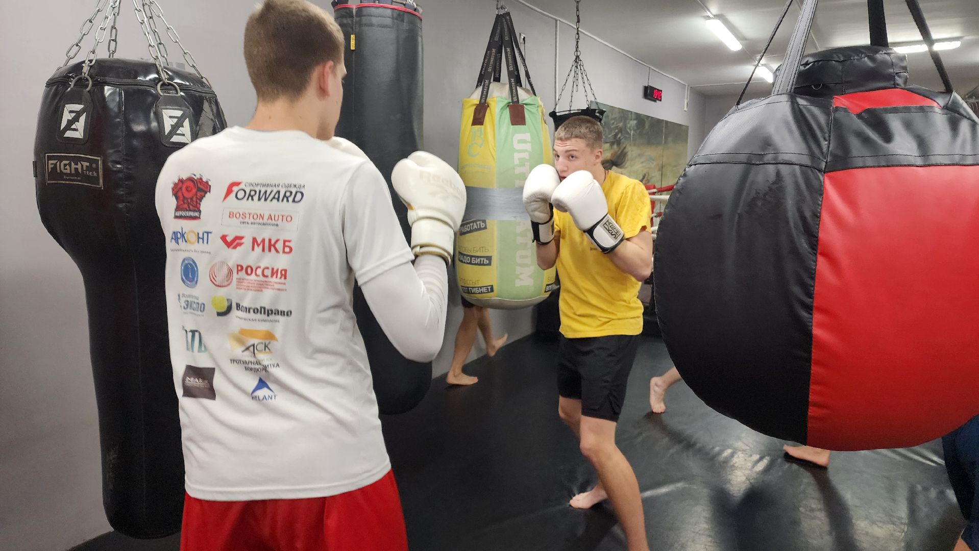 Реутов, вертикалки, спорт, Пересвет, кикбоксинг, соревнования,