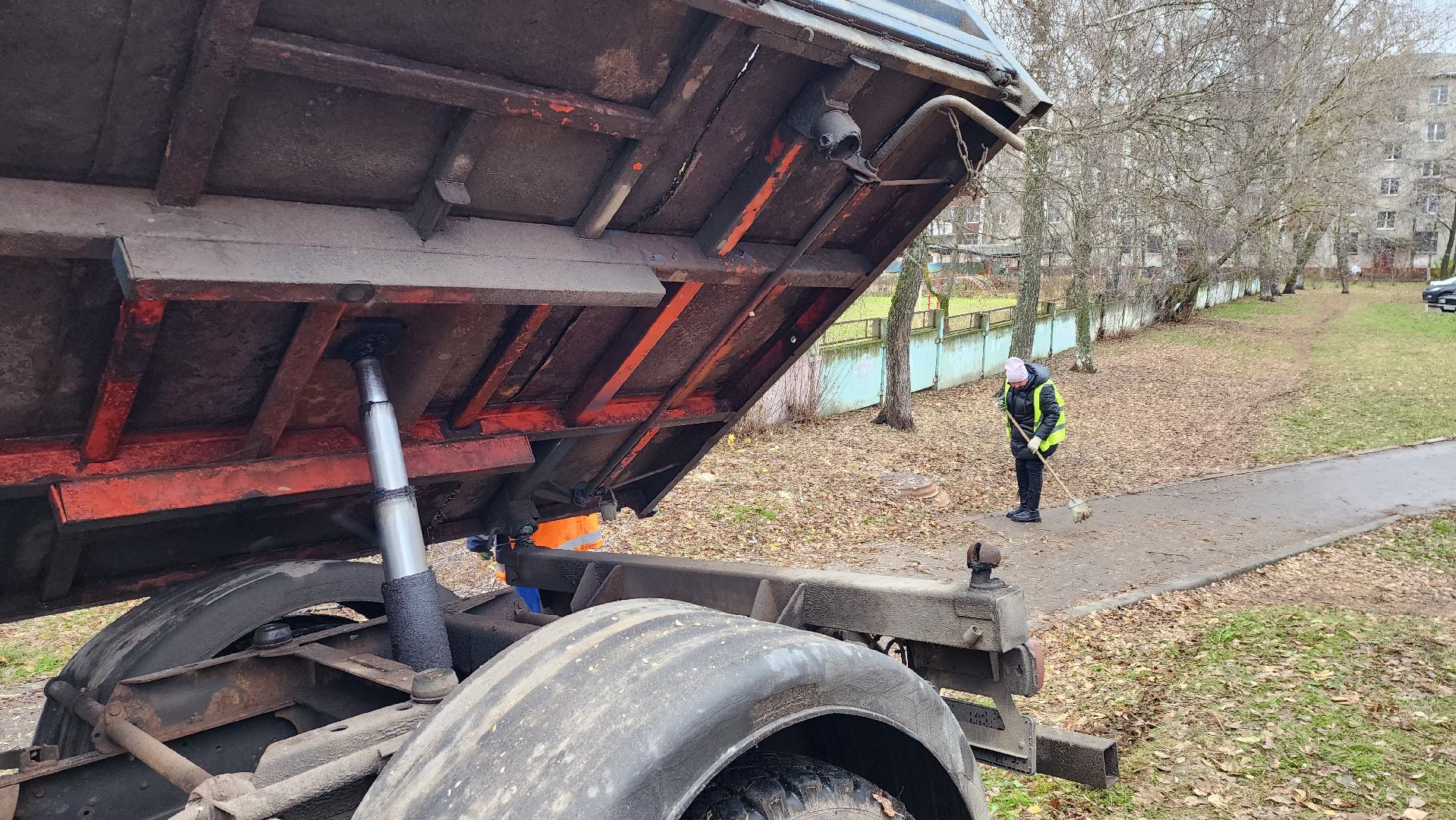 ветки, истра, благоустройство, вертикалки,