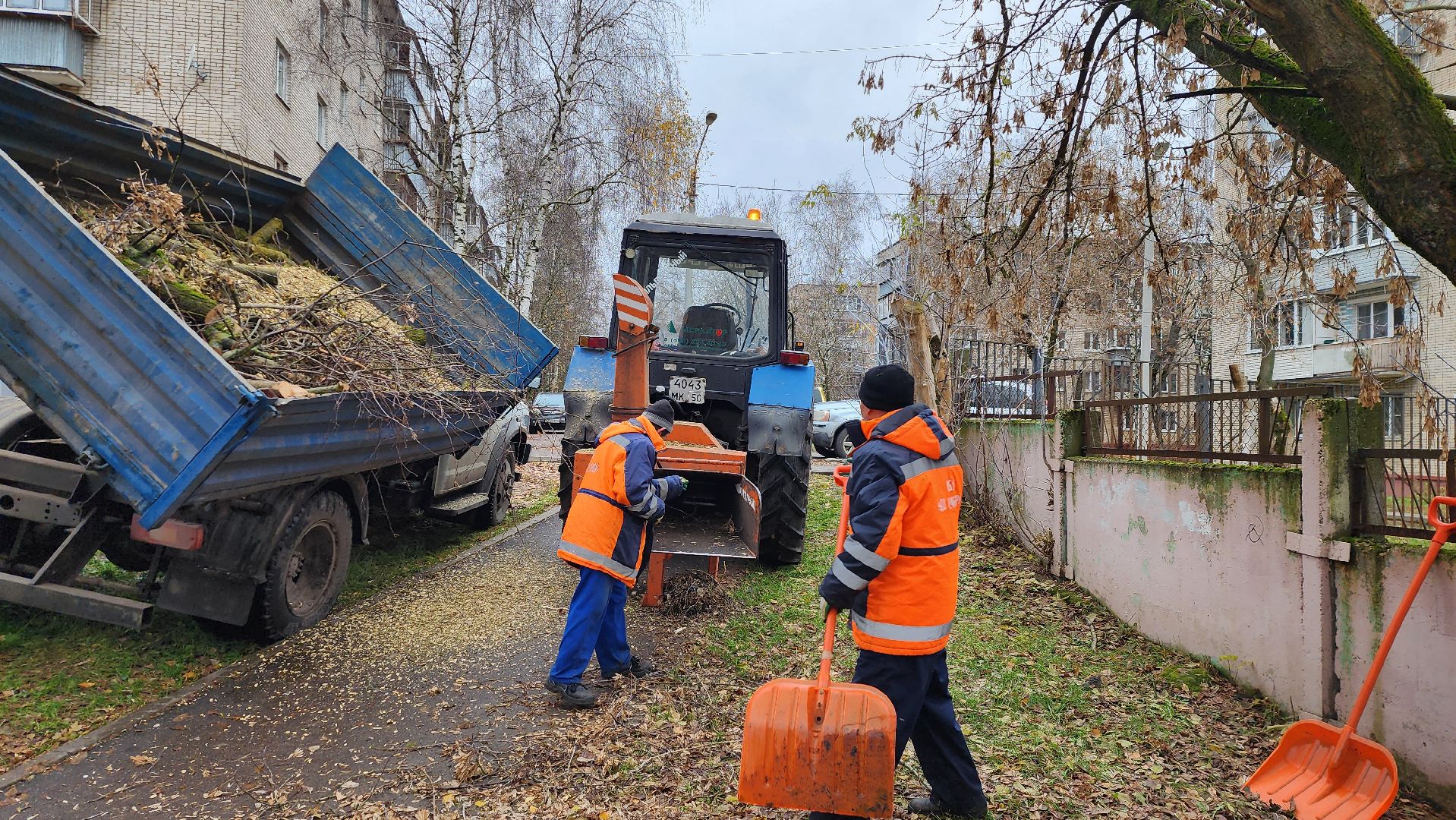 ветки, истра, благоустройство, вертикалки,