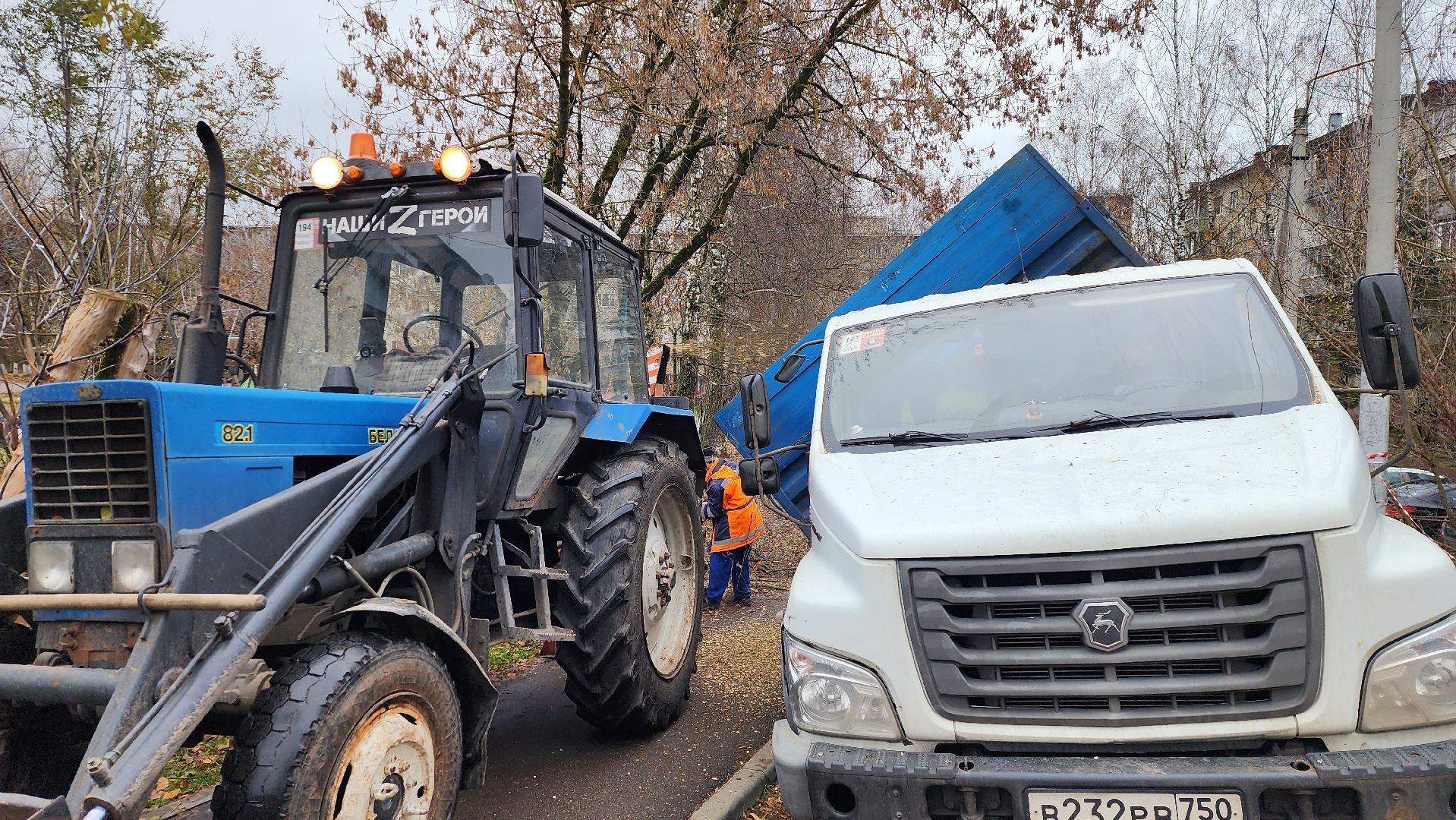 ветки, истра, благоустройство, вертикалки,
