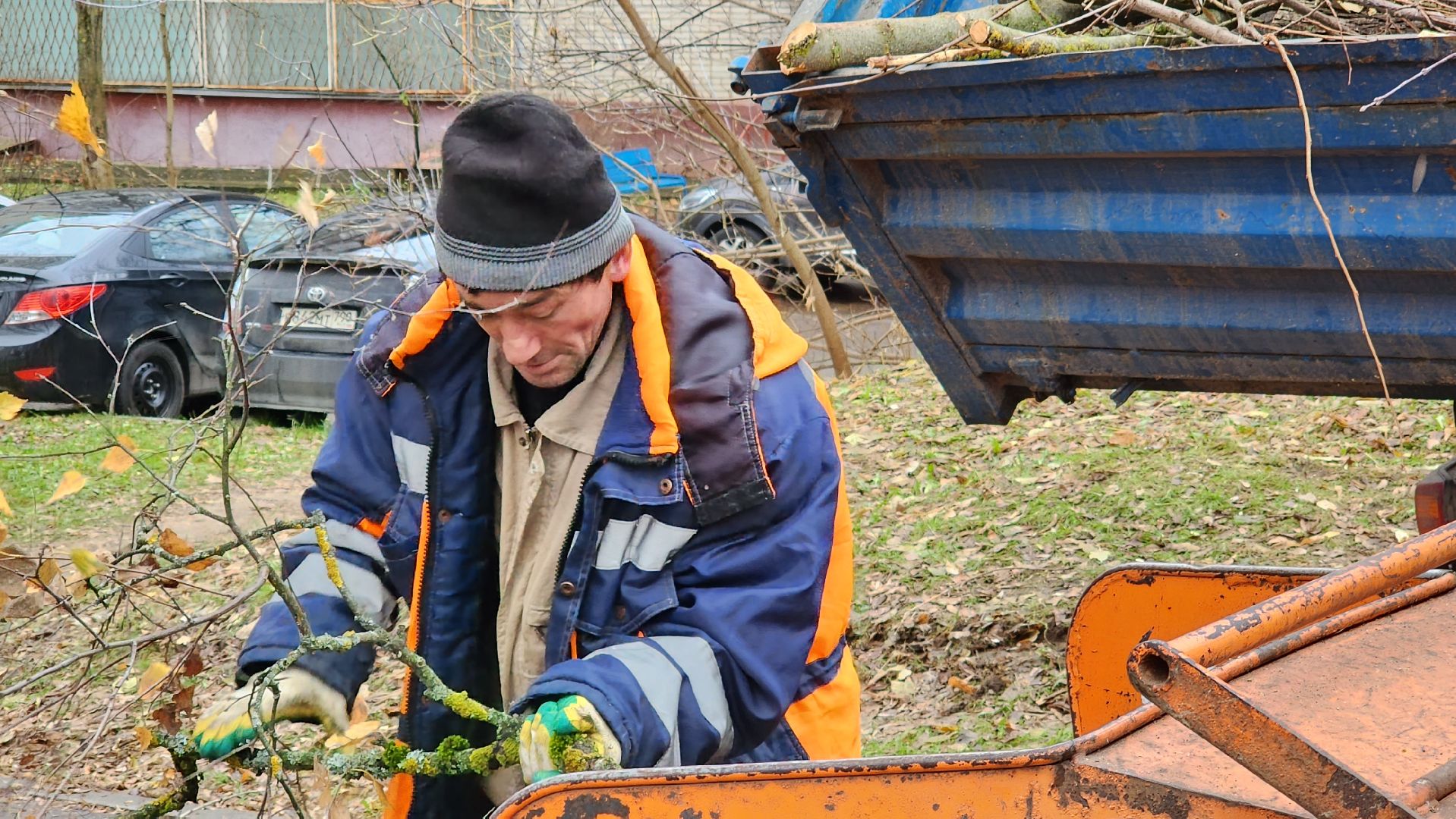 ветки, истра, благоустройство, вертикалки,