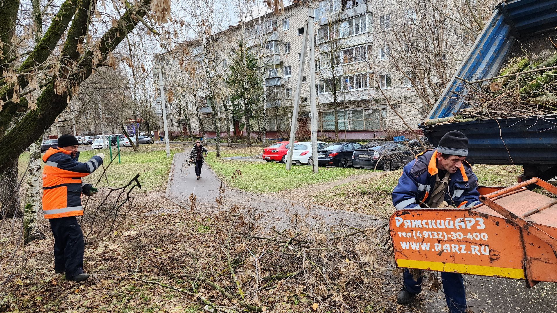 ветки, истра, благоустройство, вертикалки,