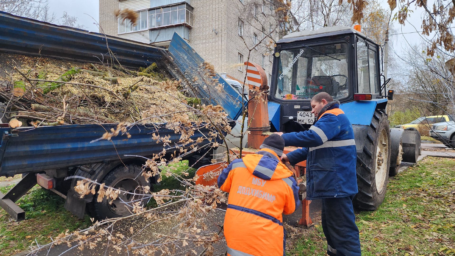 ветки, истра, благоустройство, вертикалки,