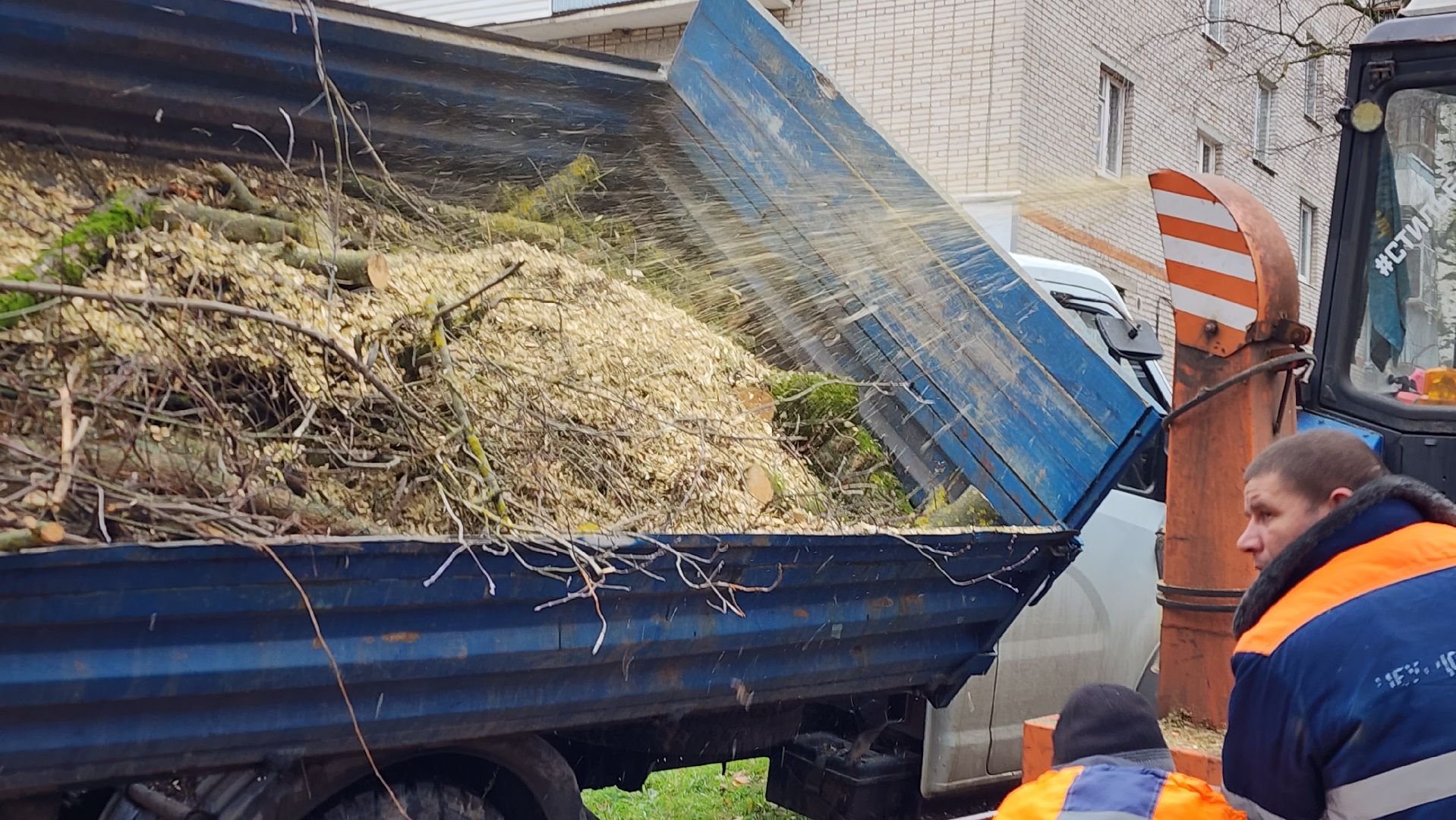 ветки, истра, благоустройство, вертикалки,