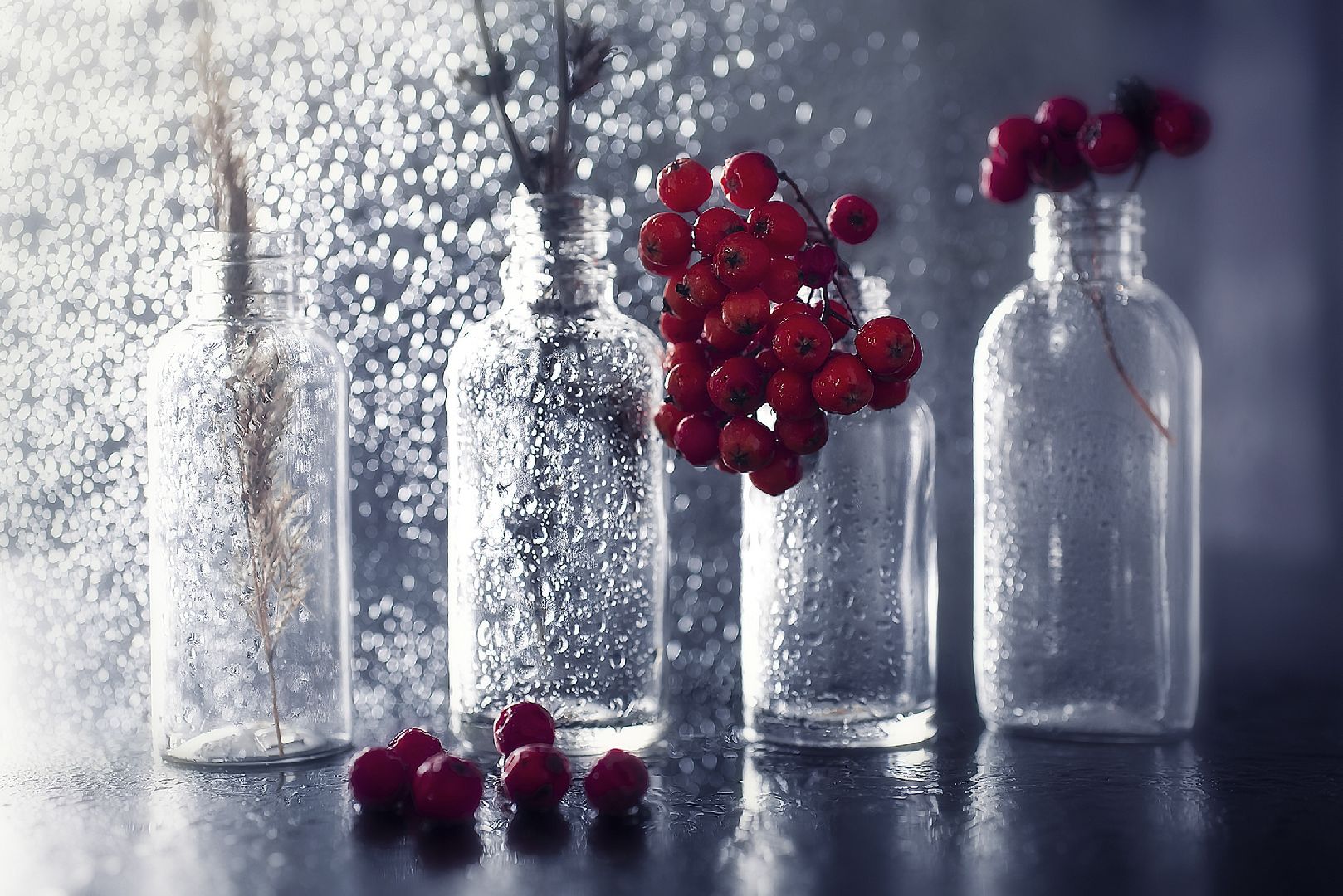 Реутов, фотография, хобби, профессия, работа, съёмки, фотосессия