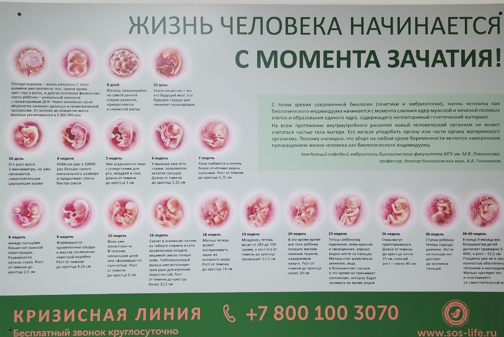 Звенигород, Медицина, здравоохранение,Вертикалка, Вертикальное видео,