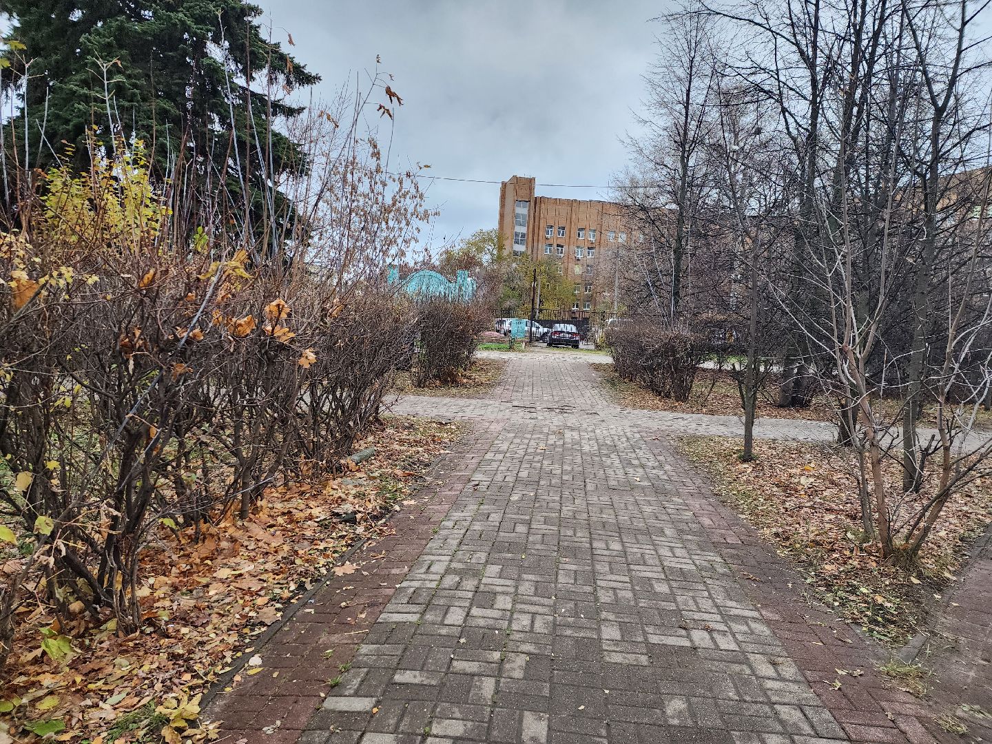 вертикалки, королёв,