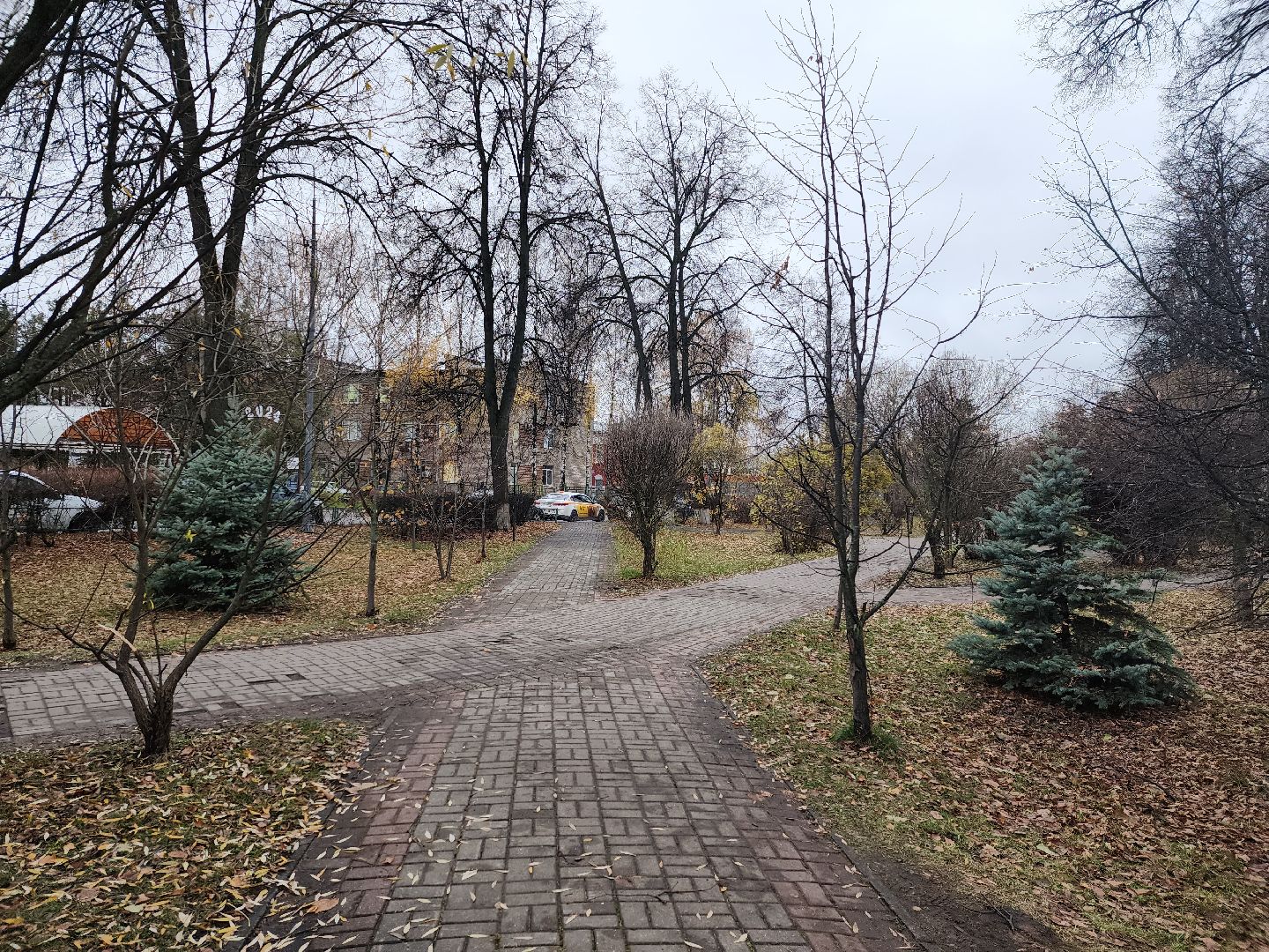 вертикалки, королёв,