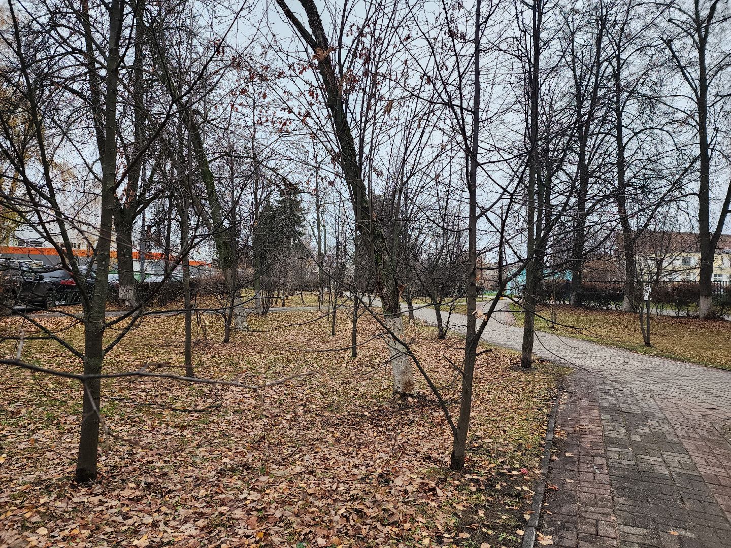 вертикалки, королёв,