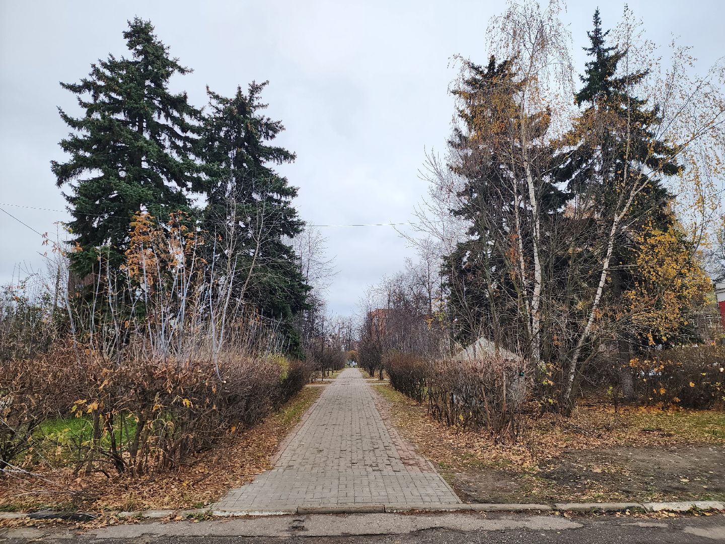 вертикалки, королёв,