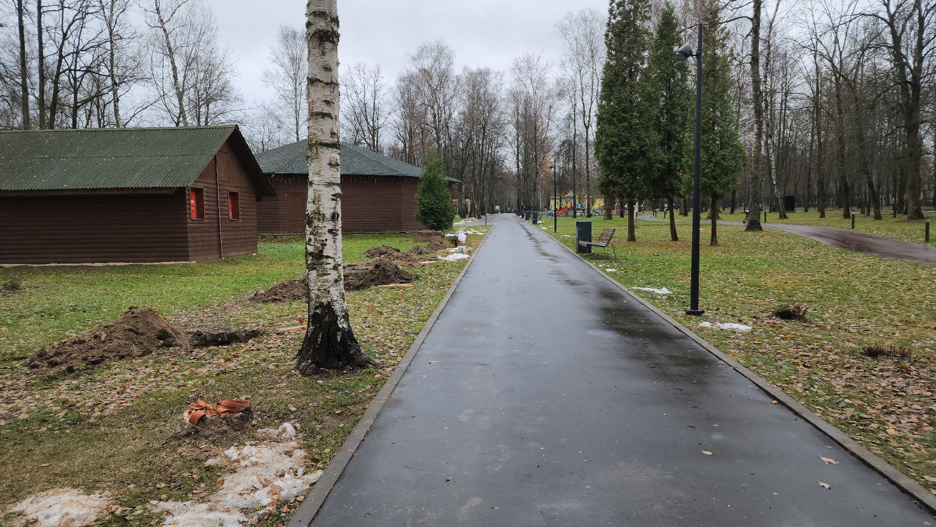 ступино, парк имени островского, озеленение парков, вертикалки,