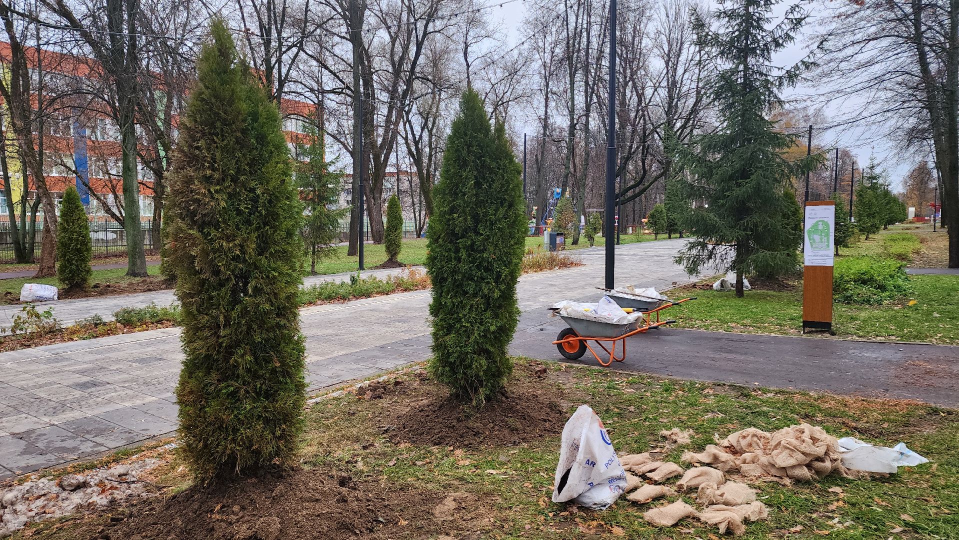ступино, парк имени островского, озеленение парков, вертикалки,