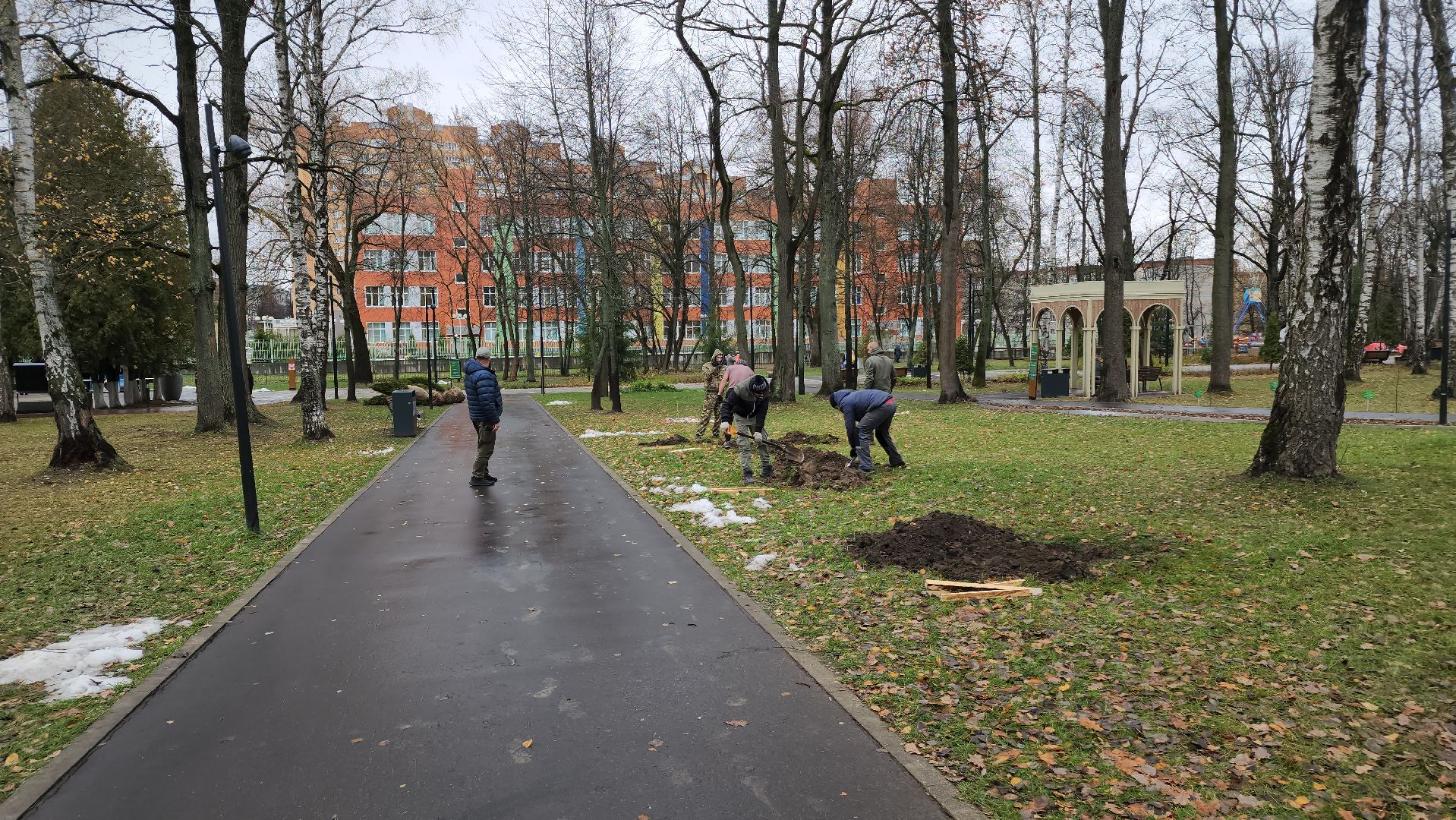 ступино, парк имени островского, озеленение парков, вертикалки,