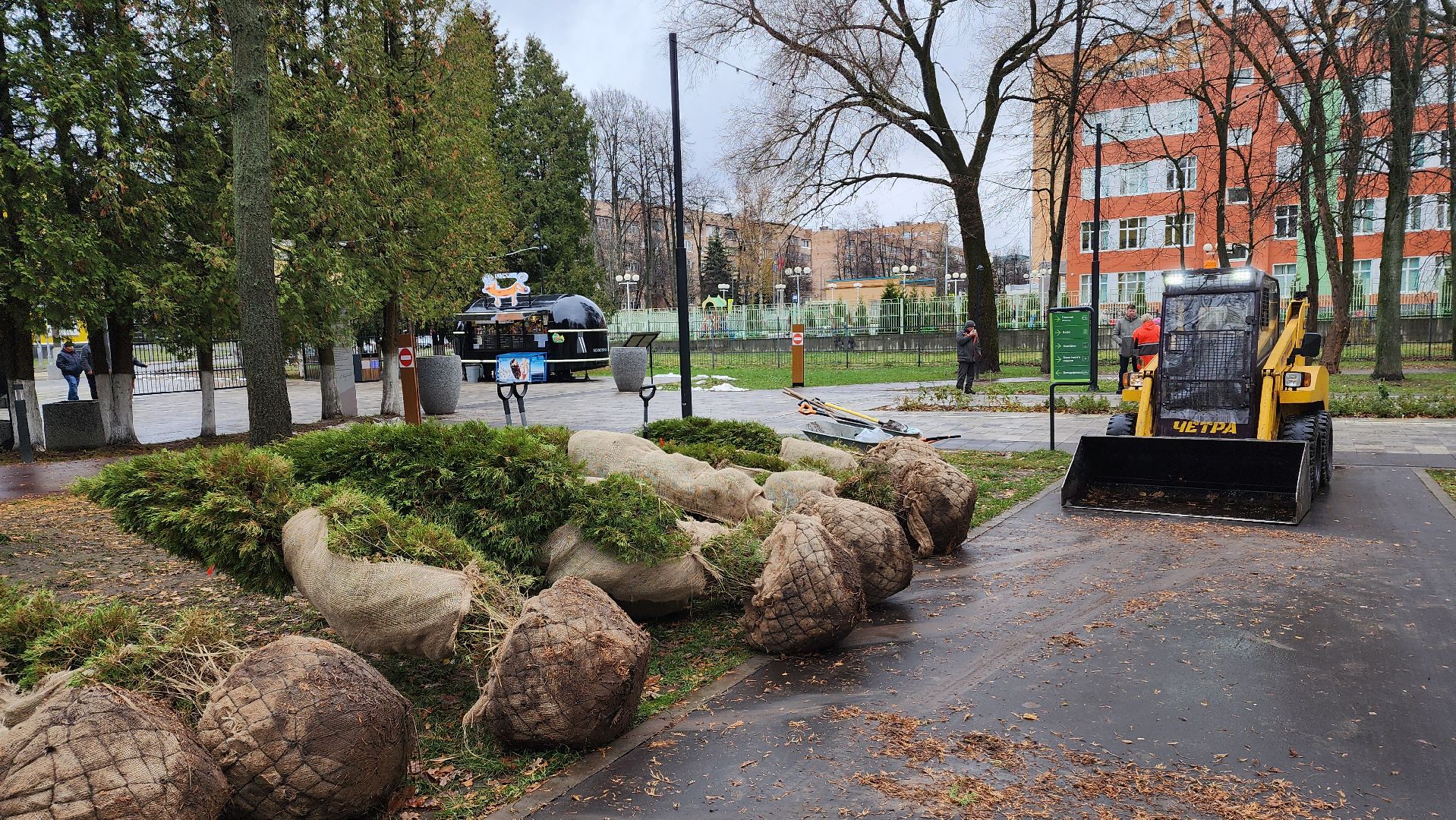 ступино, парк имени островского, озеленение парков, вертикалки,
