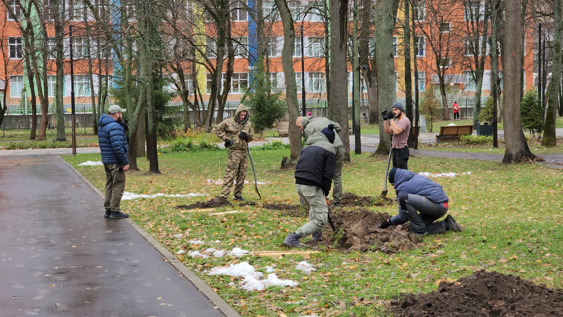 ступино, парк имени островского, озеленение парков, вертикалки,