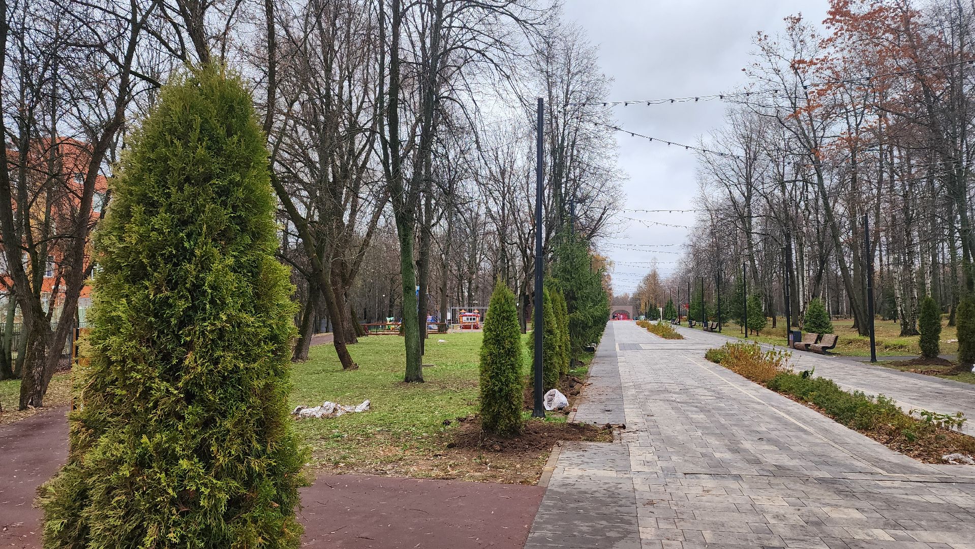 ступино, парк имени островского, озеленение парков, вертикалки,